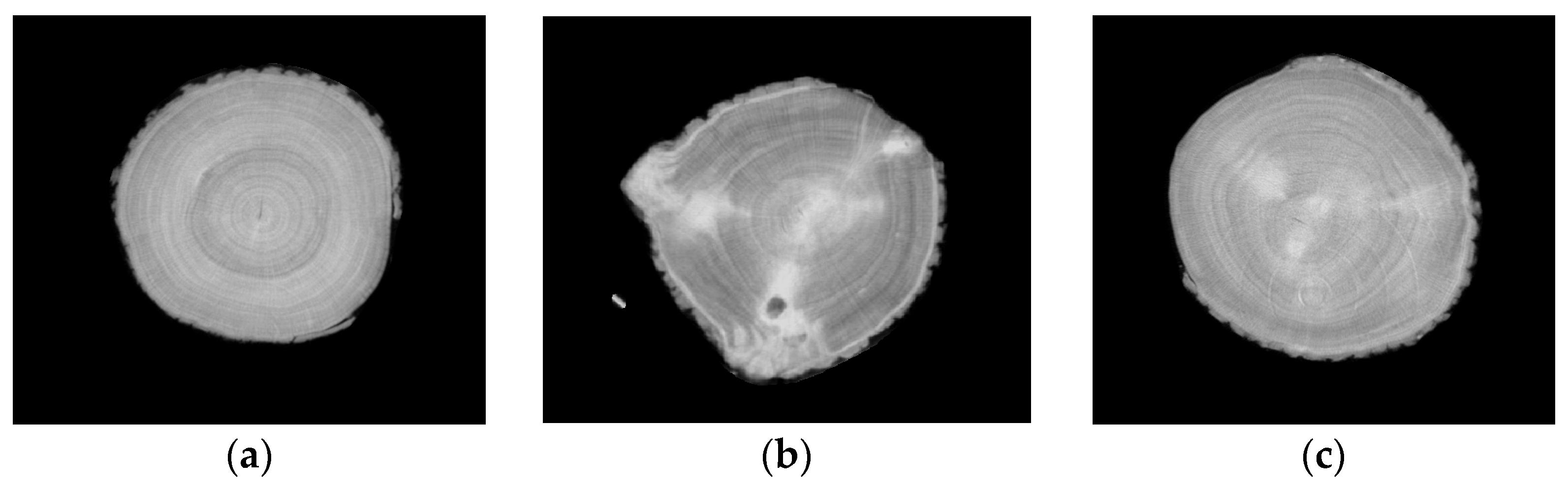 Forests 15 02207 g008