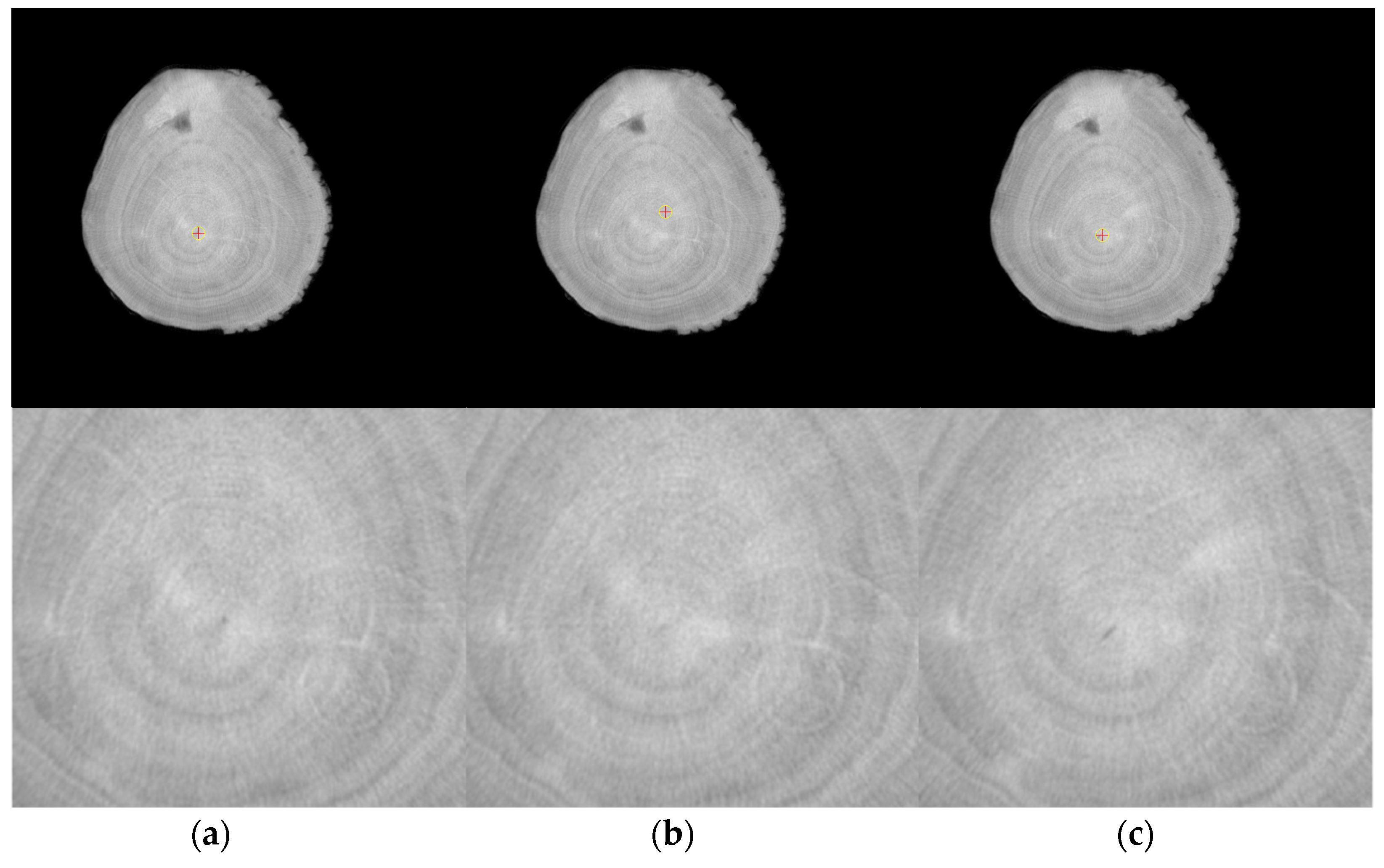 Forests 15 02207 g018