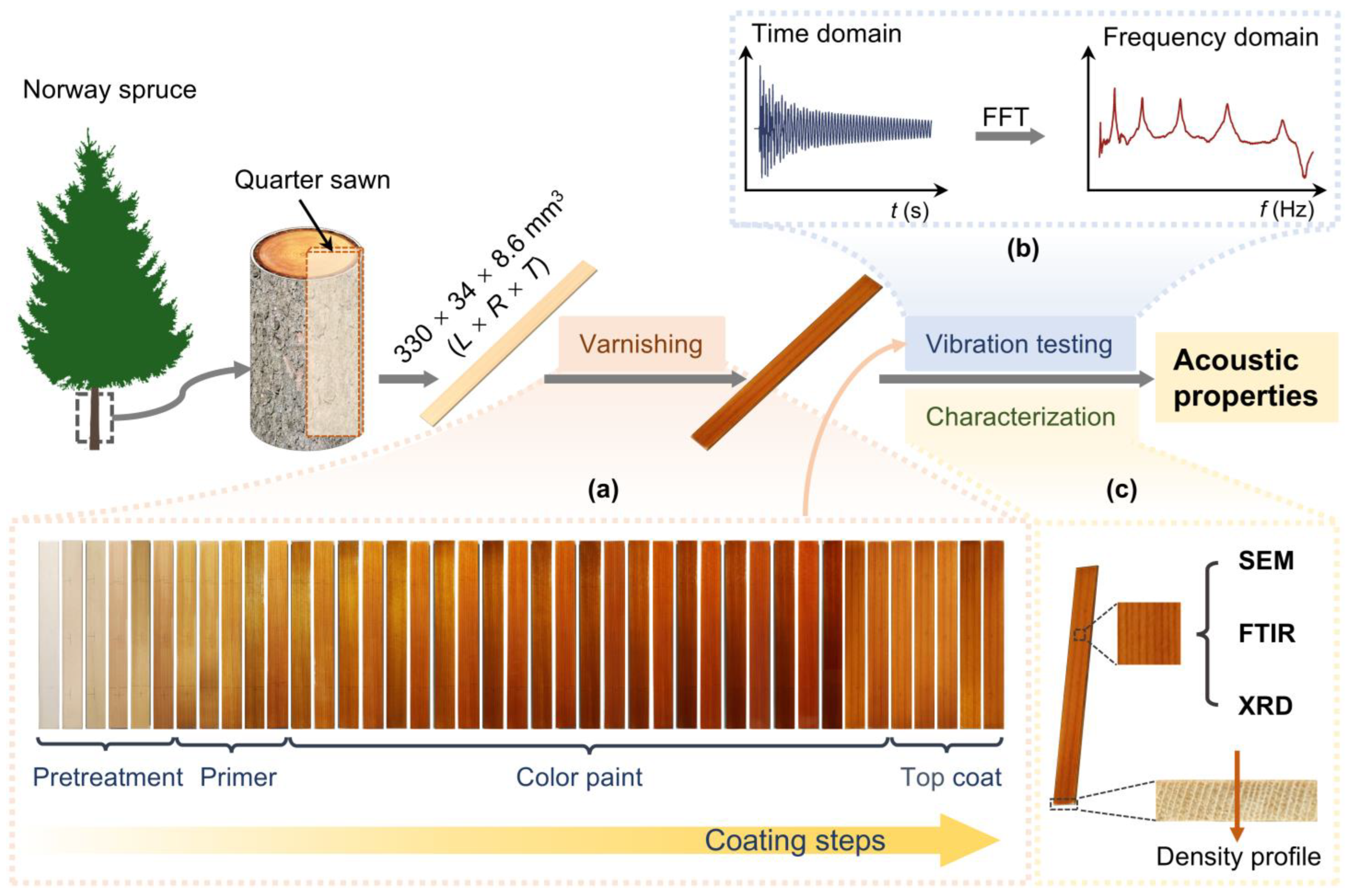 Forests 15 02212 g001