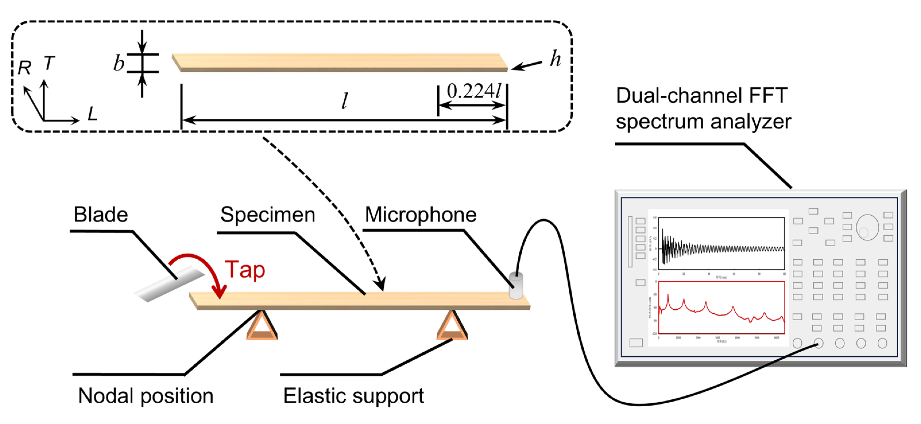 Forests 15 02212 g002