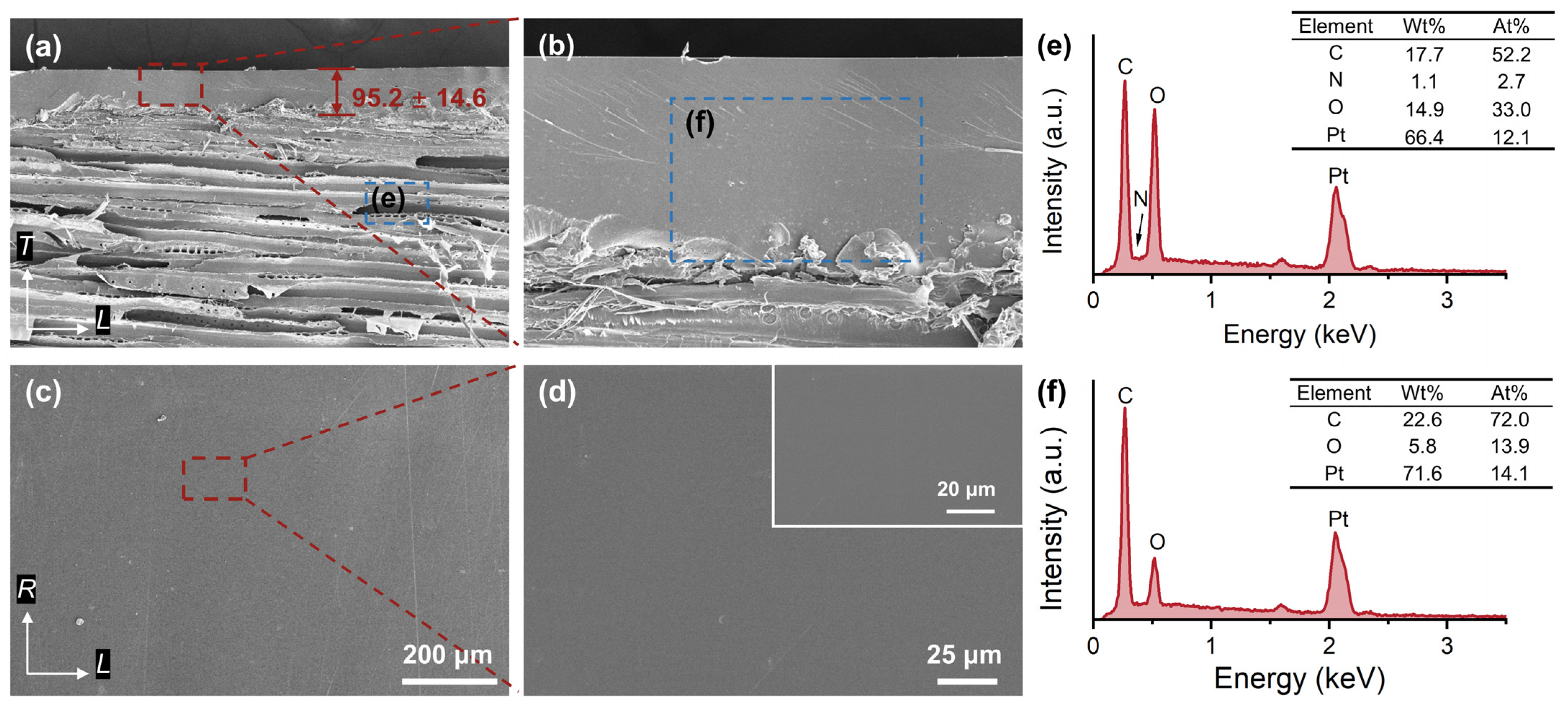 Forests 15 02212 g003