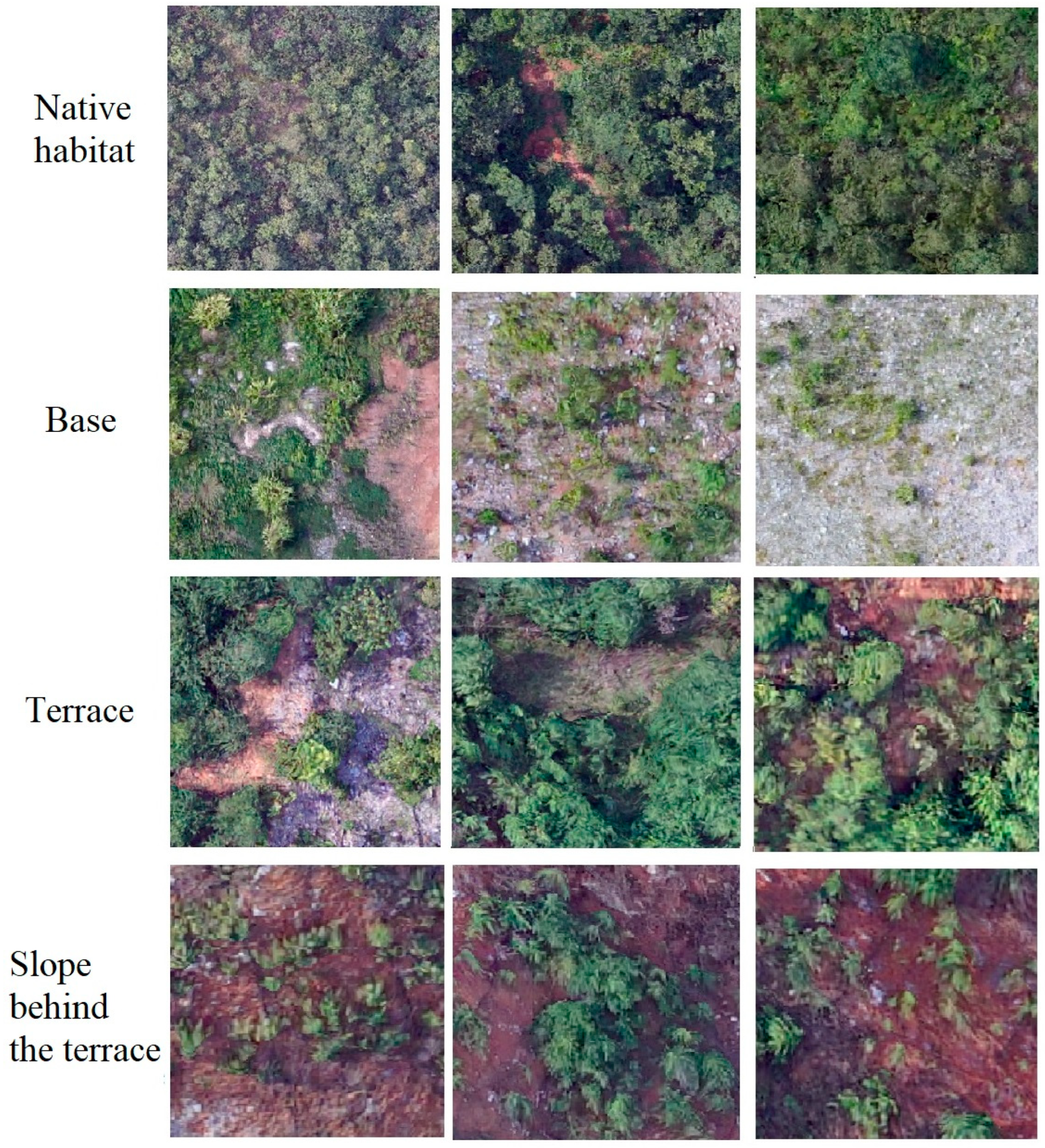 Forests 15 02213 g004