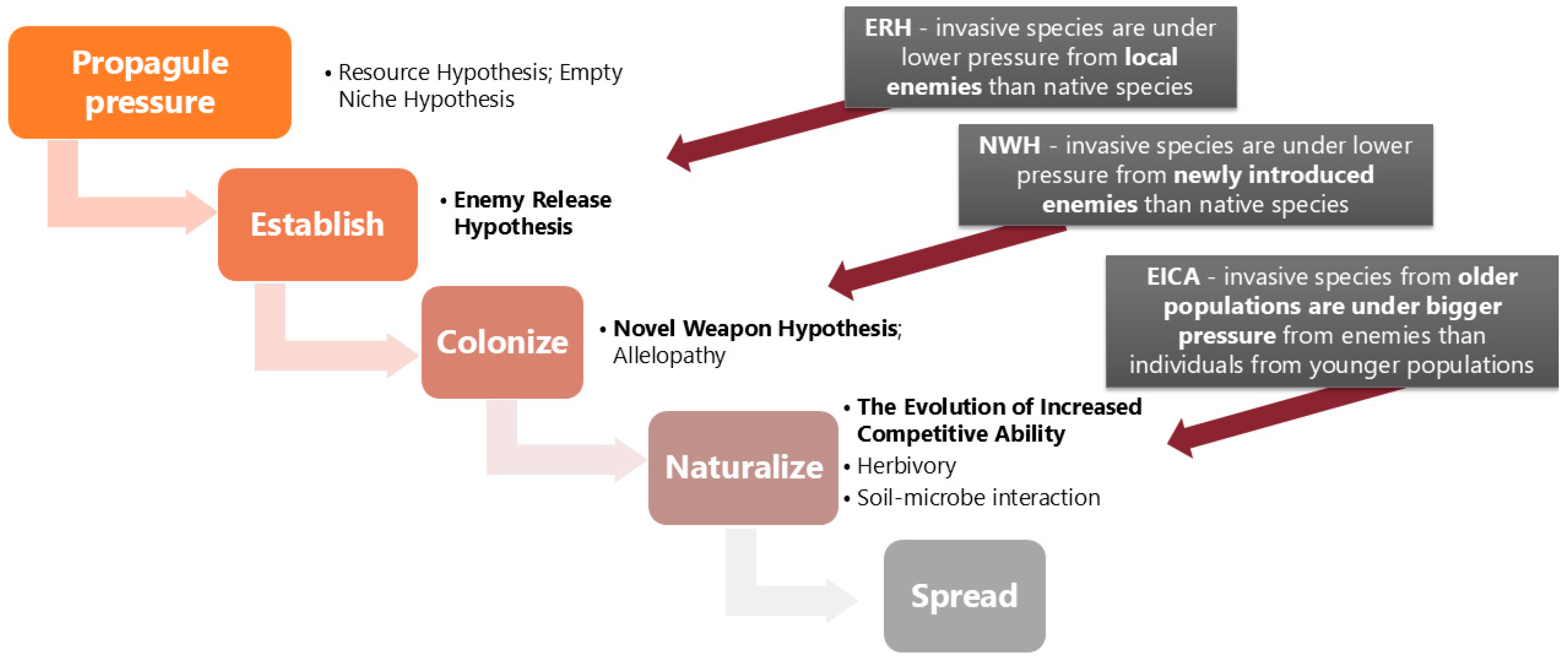 Forests 15 02214 g001 Forests 15 02214 g001
