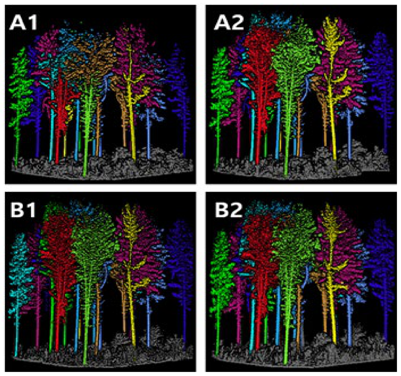 Forests 15 02230 g006