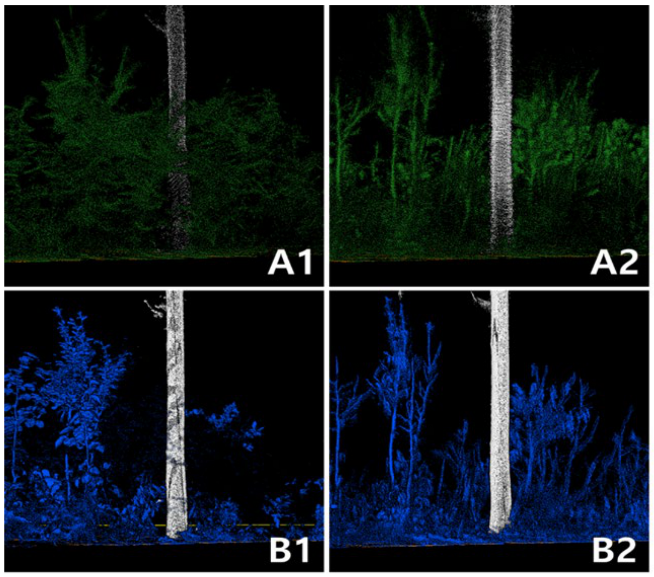 Forests 15 02230 g007