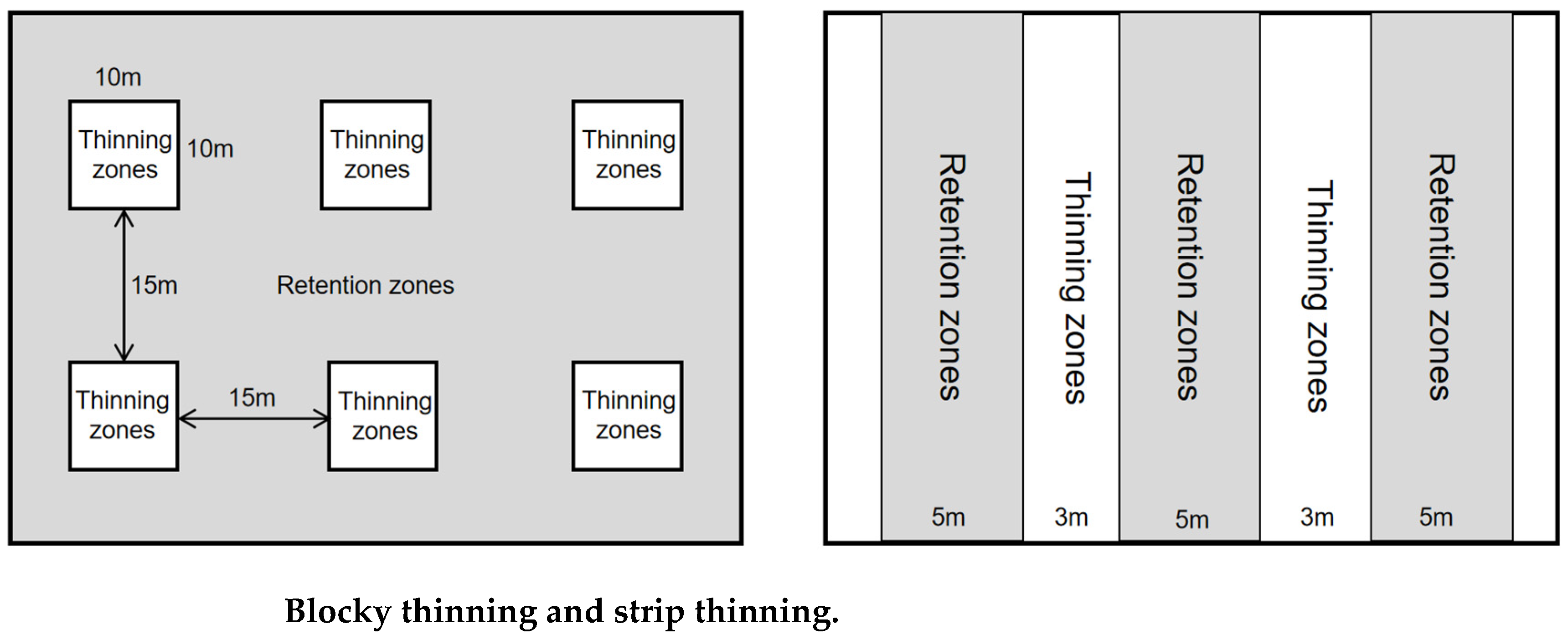Forests 15 02241 g002