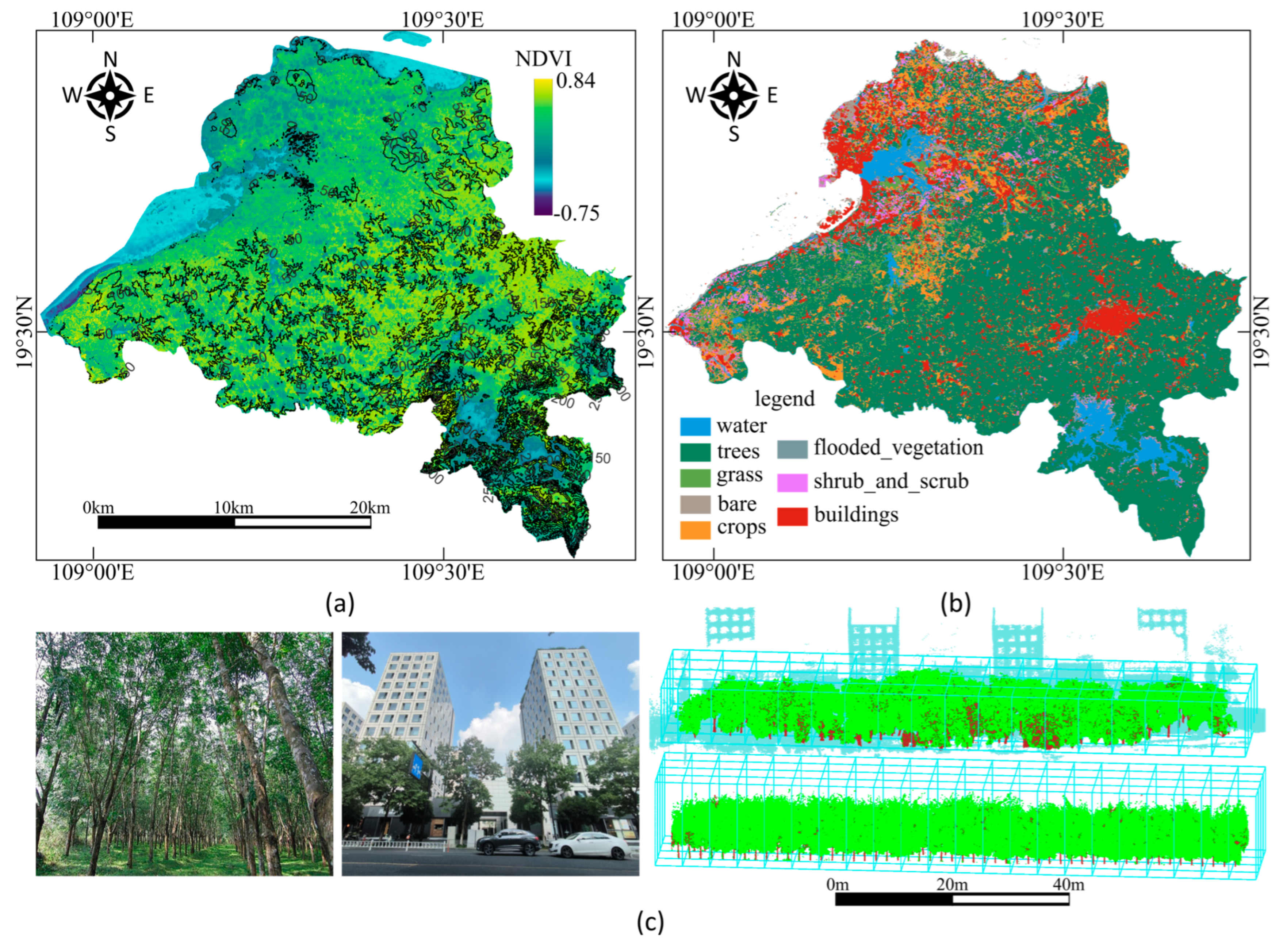 Forests 15 02244 g001