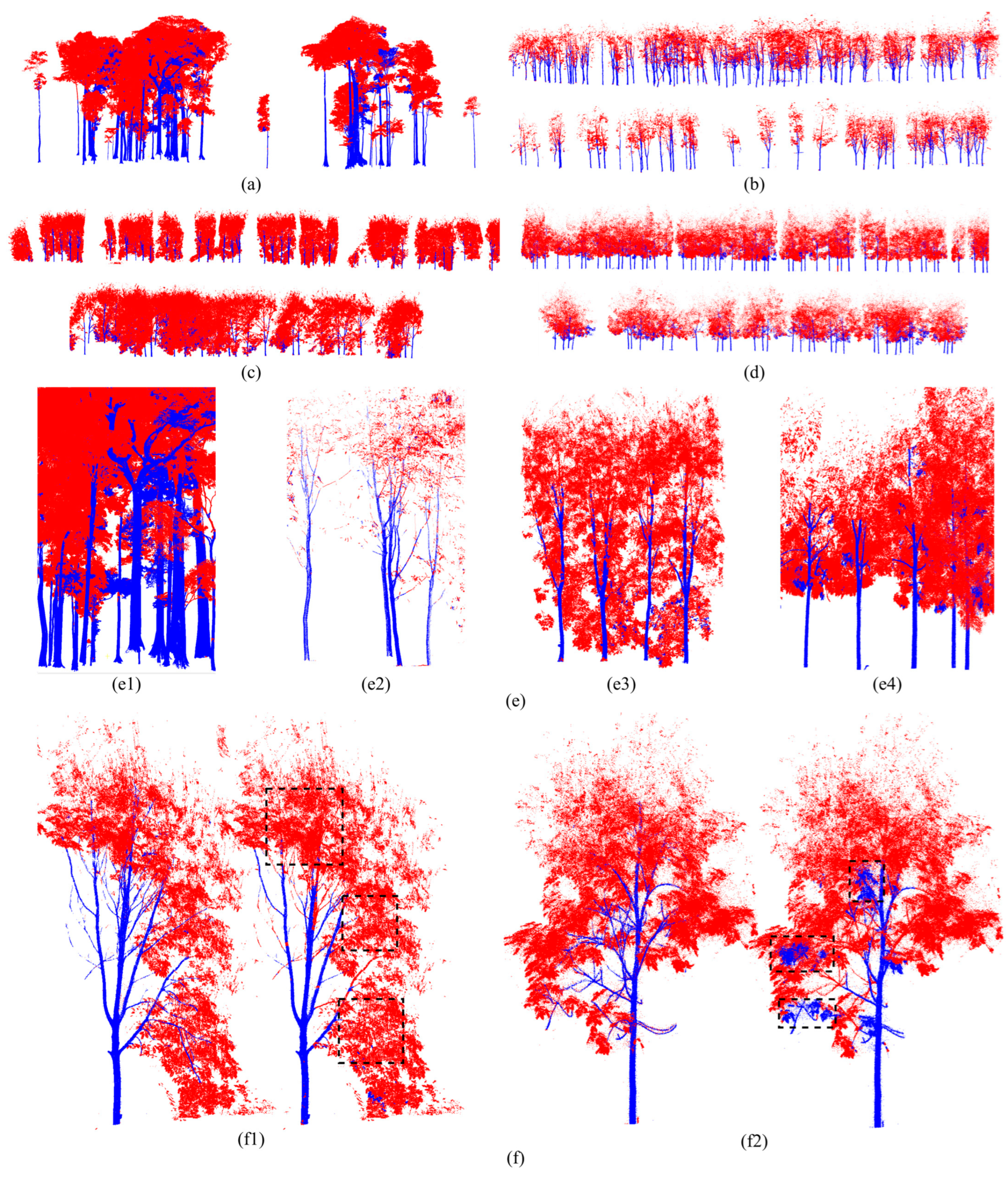 Forests 15 02244 g005