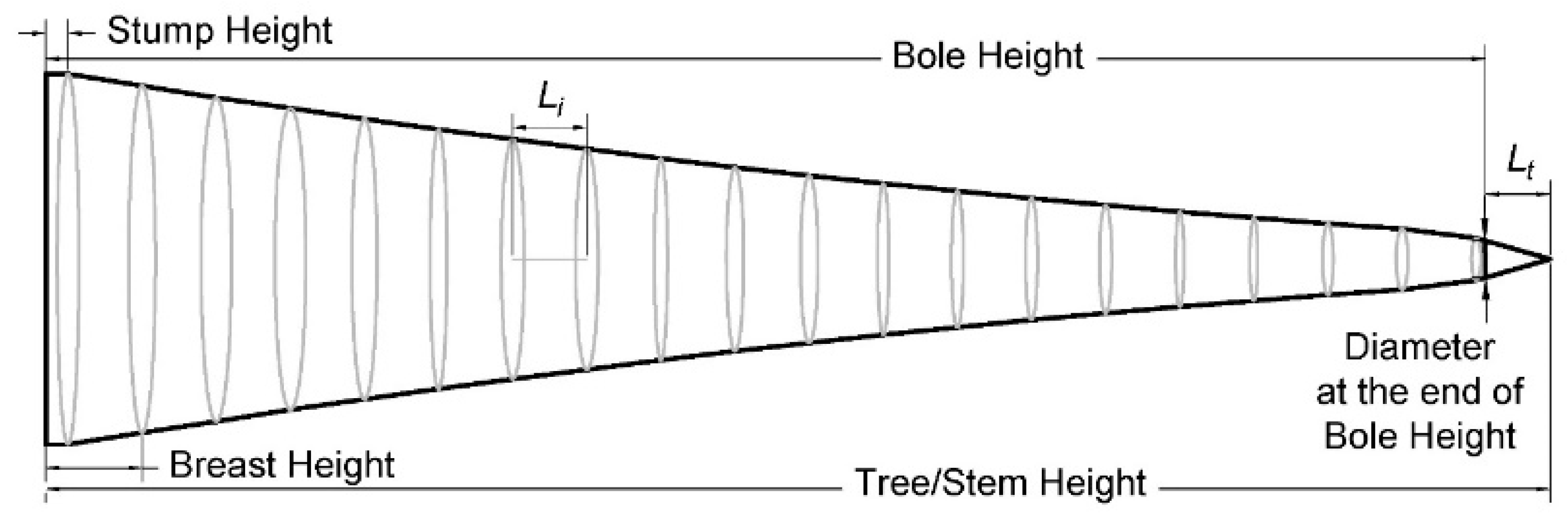 Forests 15 02251 g002