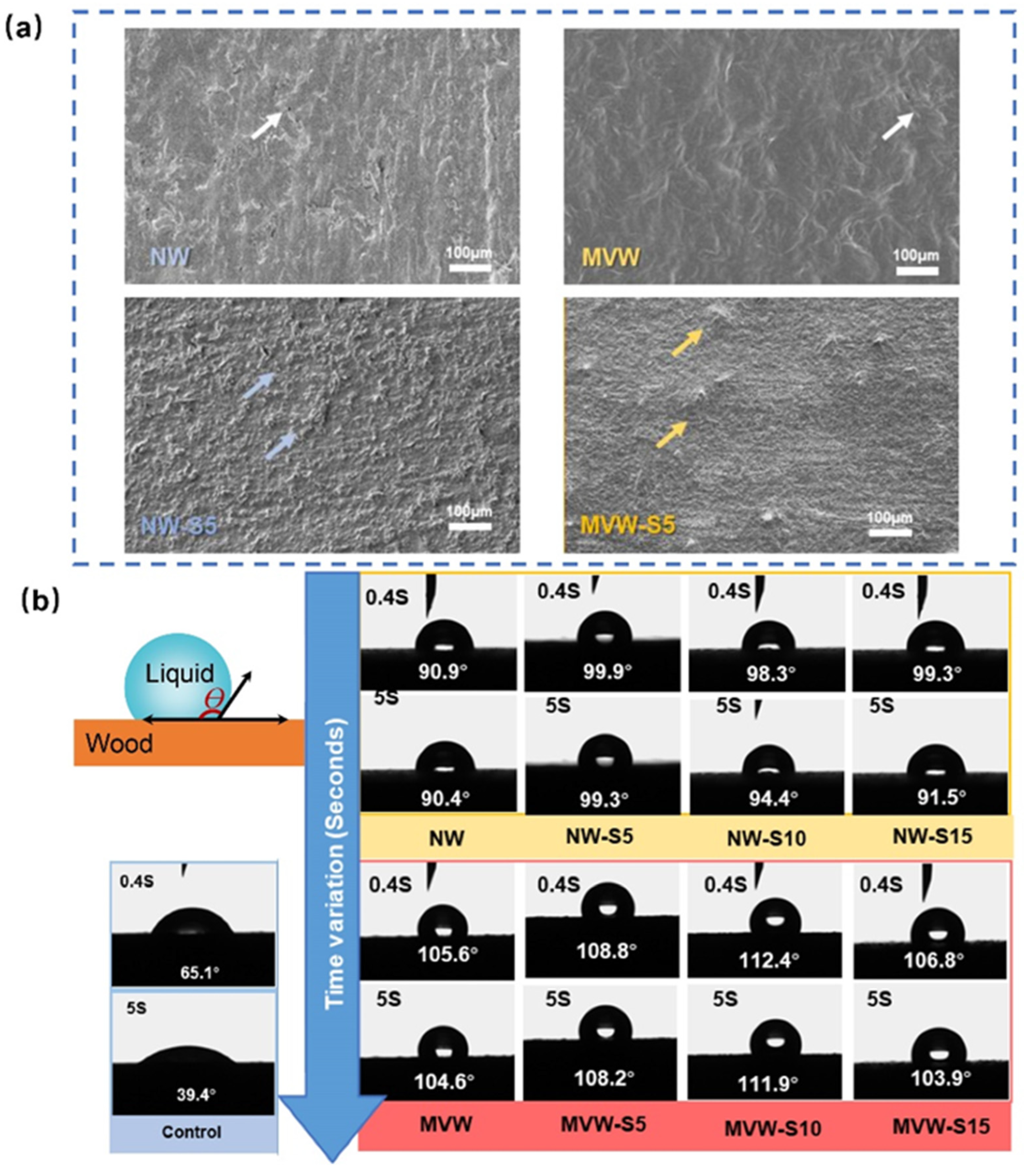 Forests 15 02262 g005