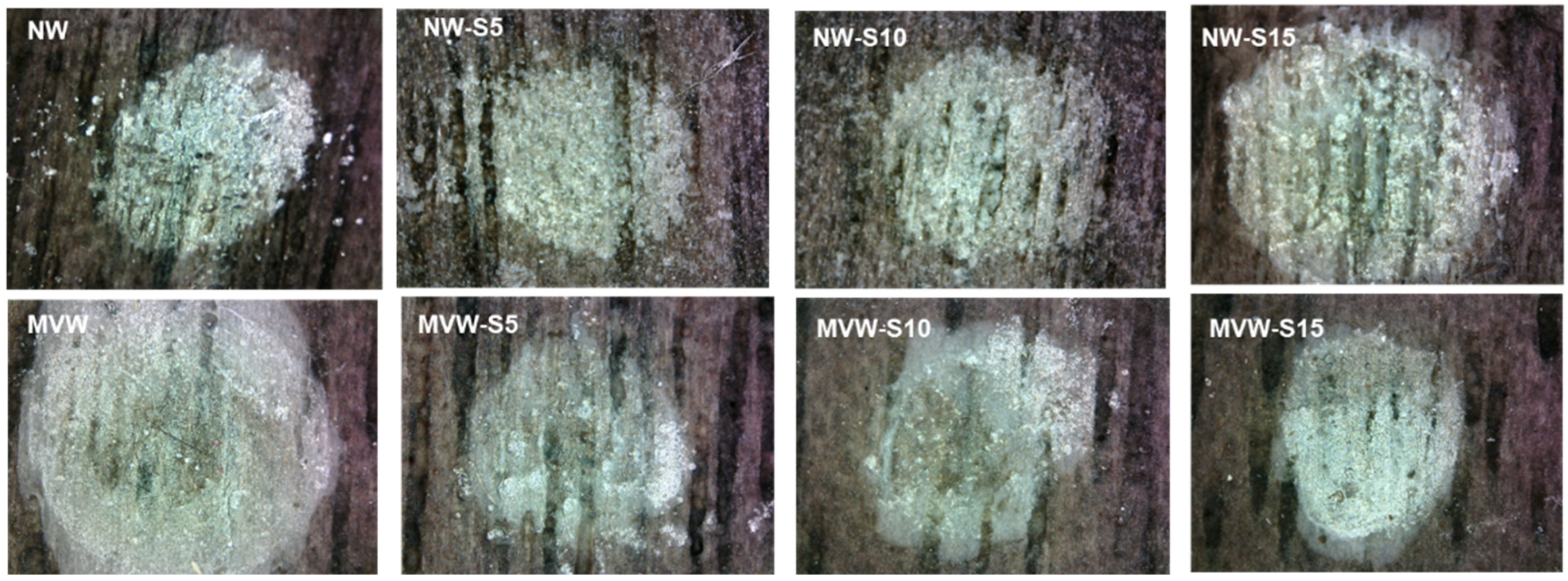 Forests 15 02262 g0a1