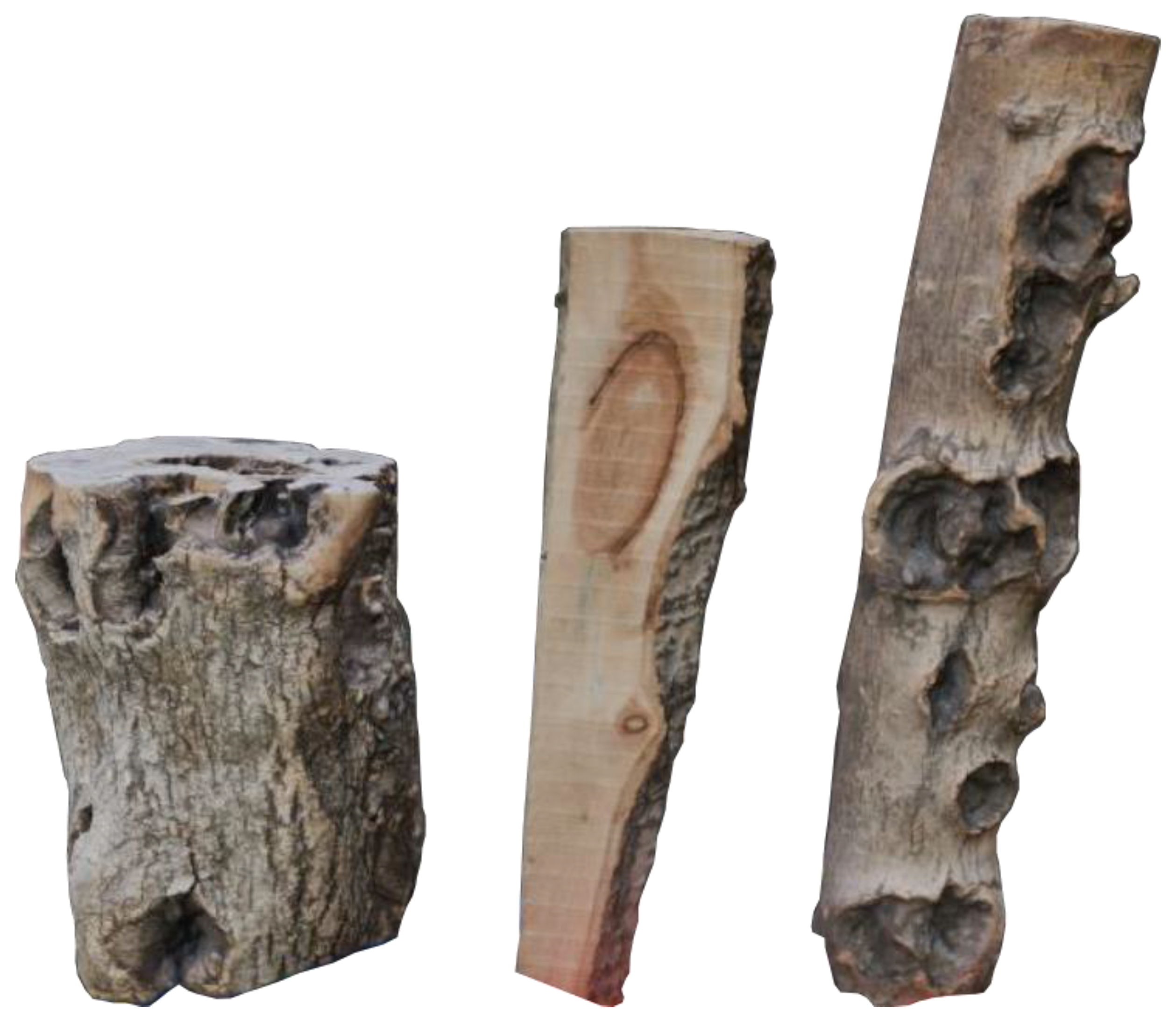 Forests 15 02263 g001