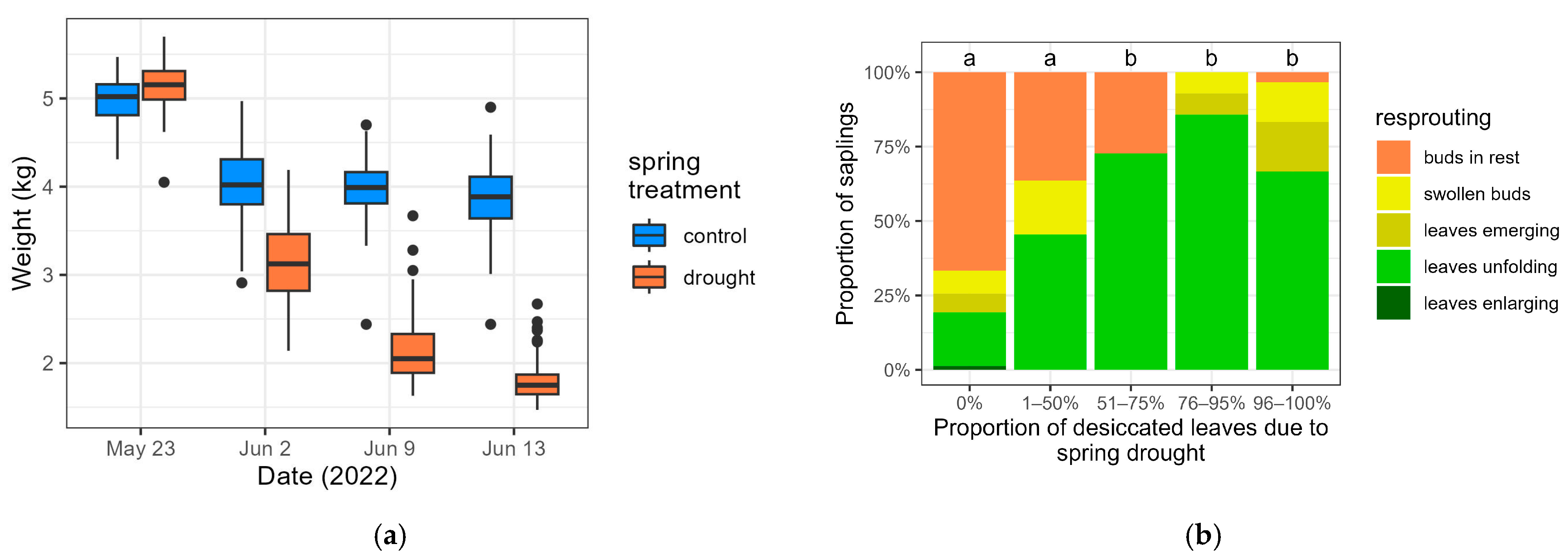 Forests 16 00005 g002