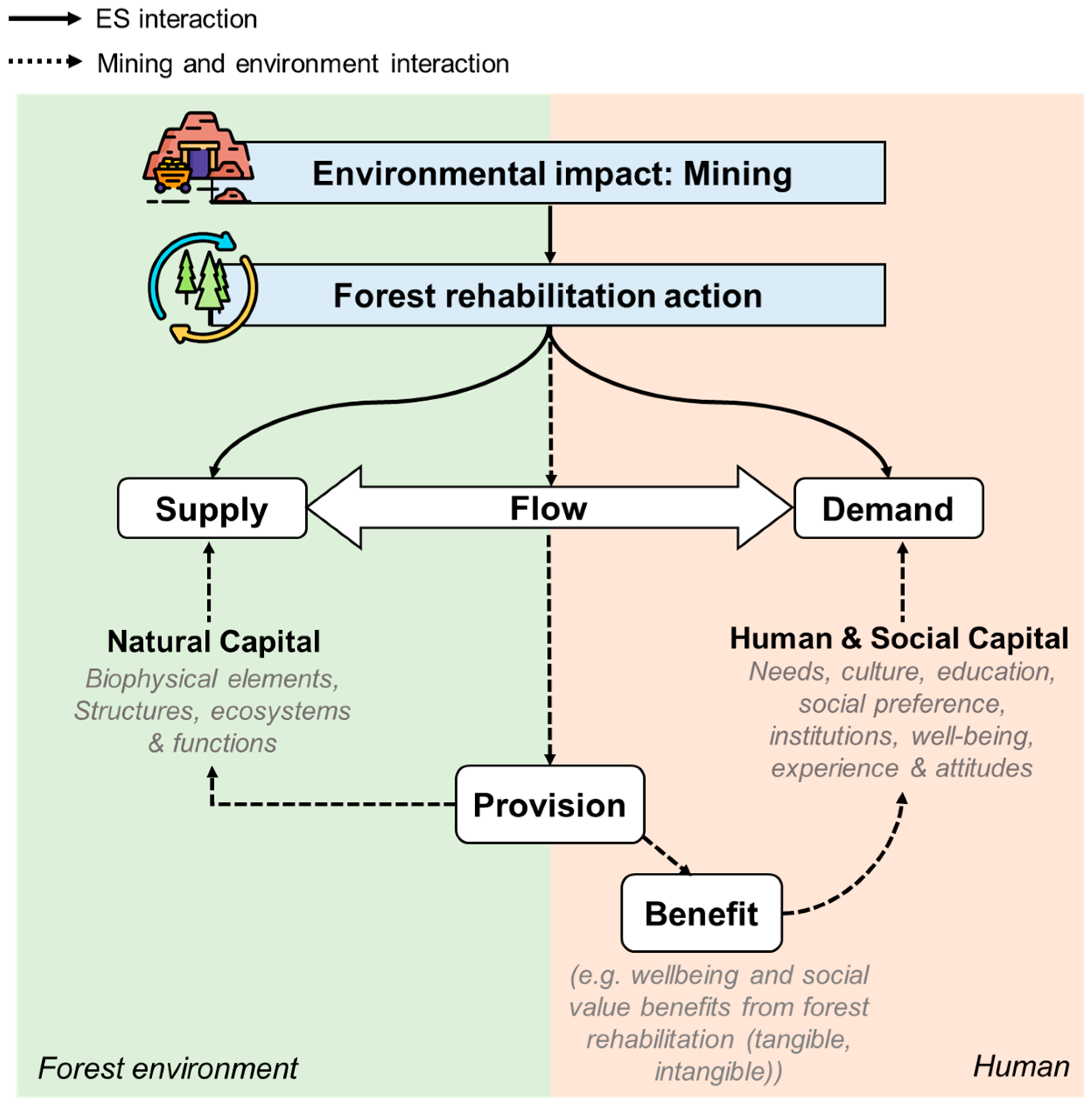 Forests 16 00007 g001 Forests 16 00007 g001
