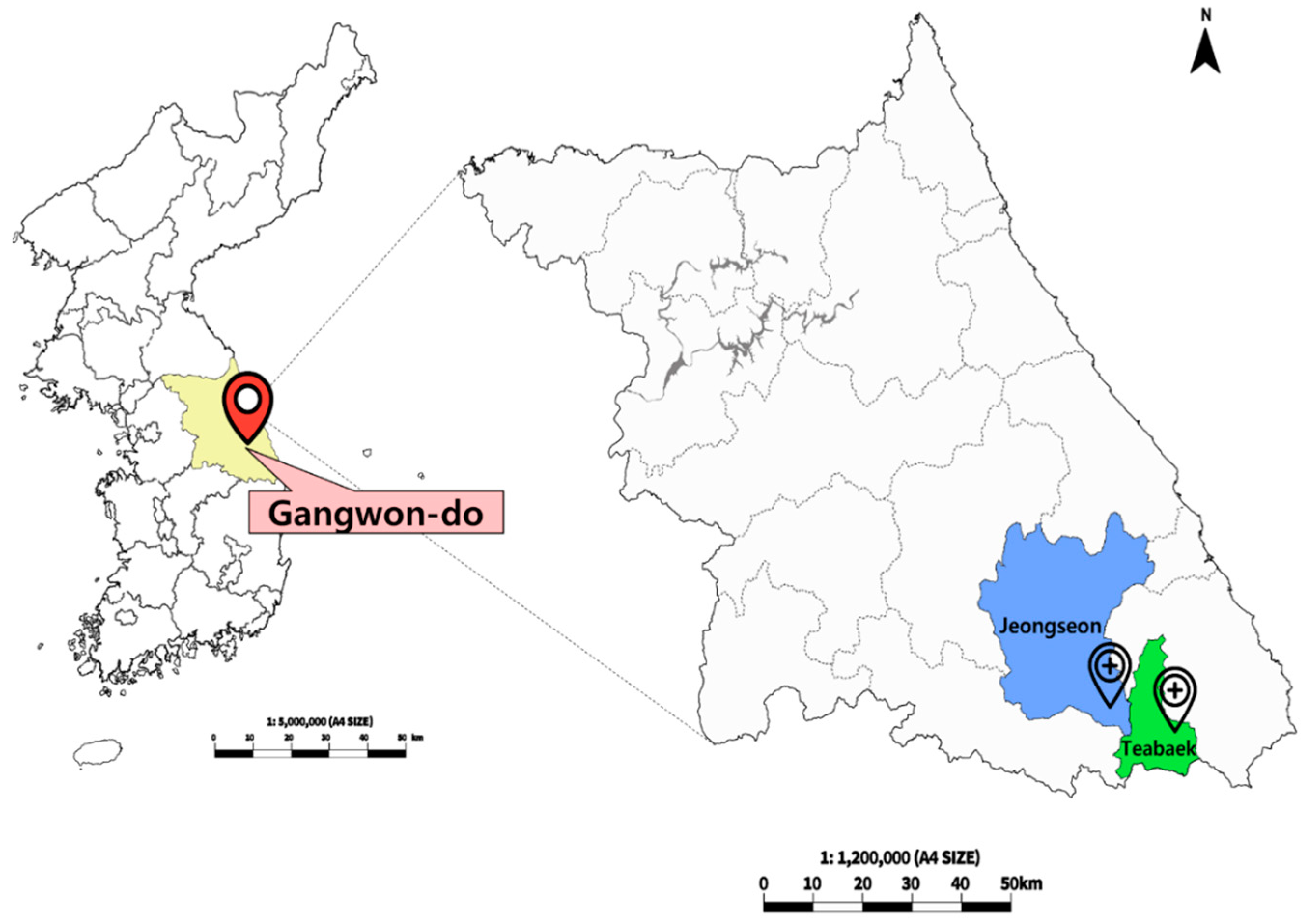 Forests 16 00007 g002 Forests 16 00007 g002
