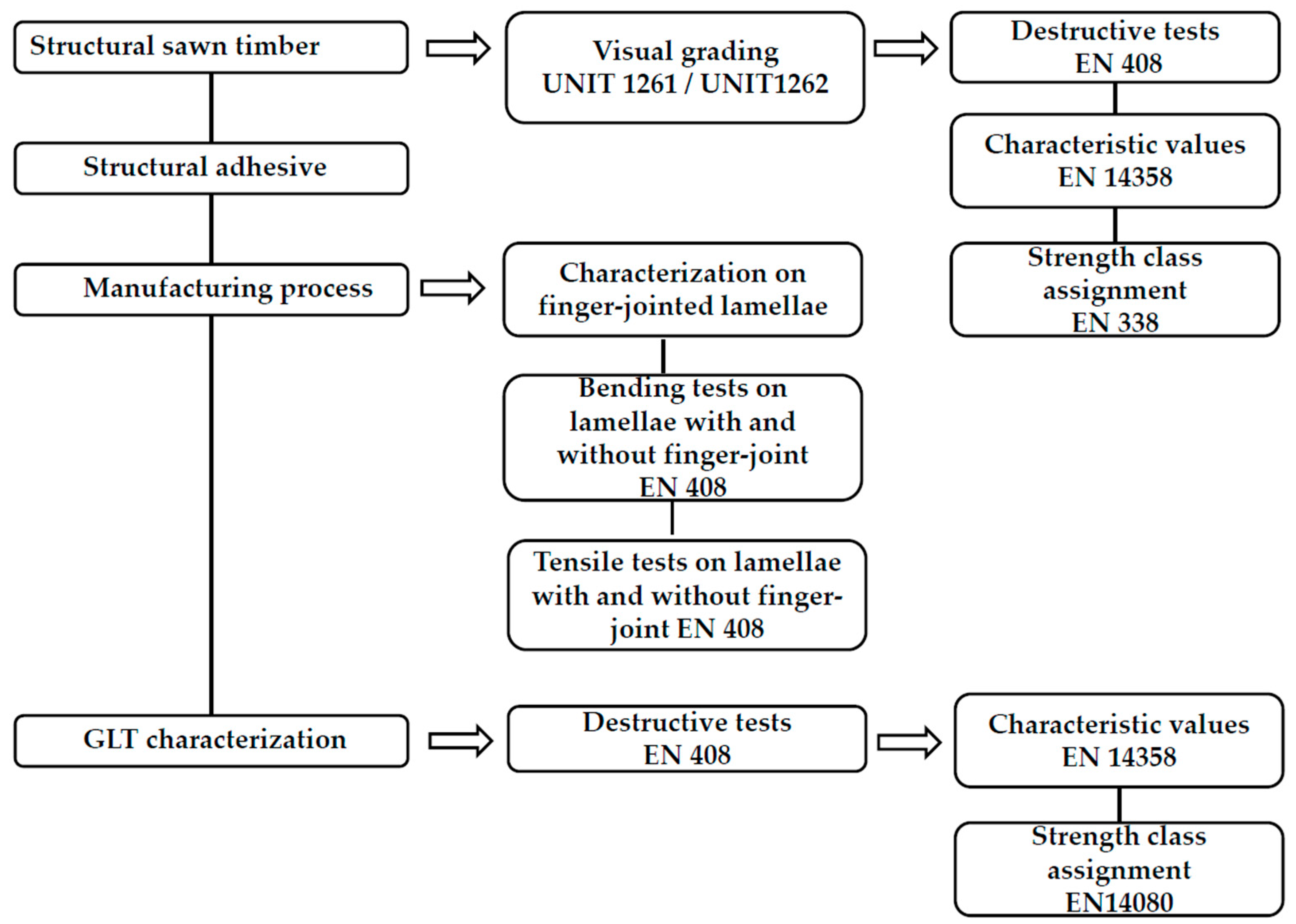 Forests 16 00008 g003