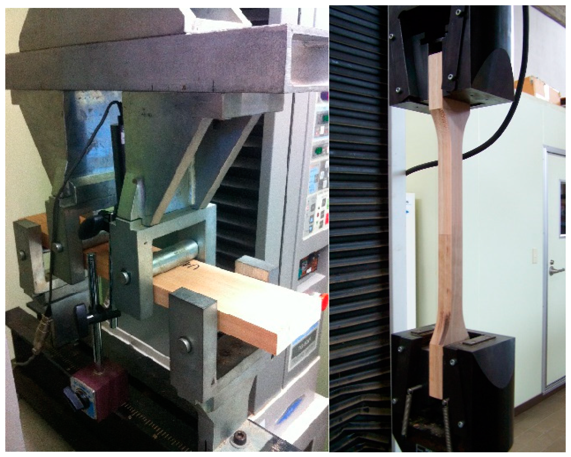 Forests 16 00008 g004