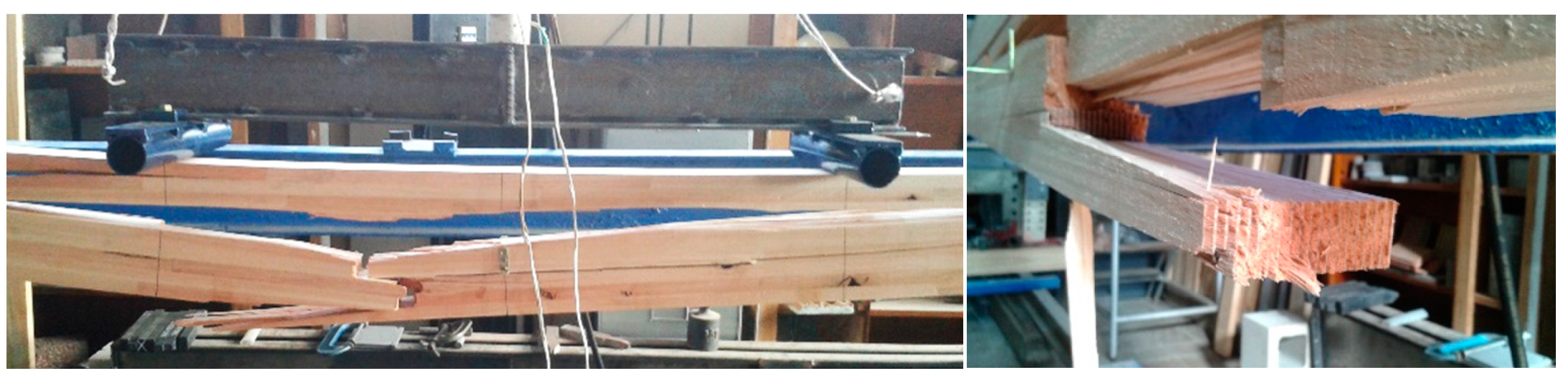 Forests 16 00008 g009