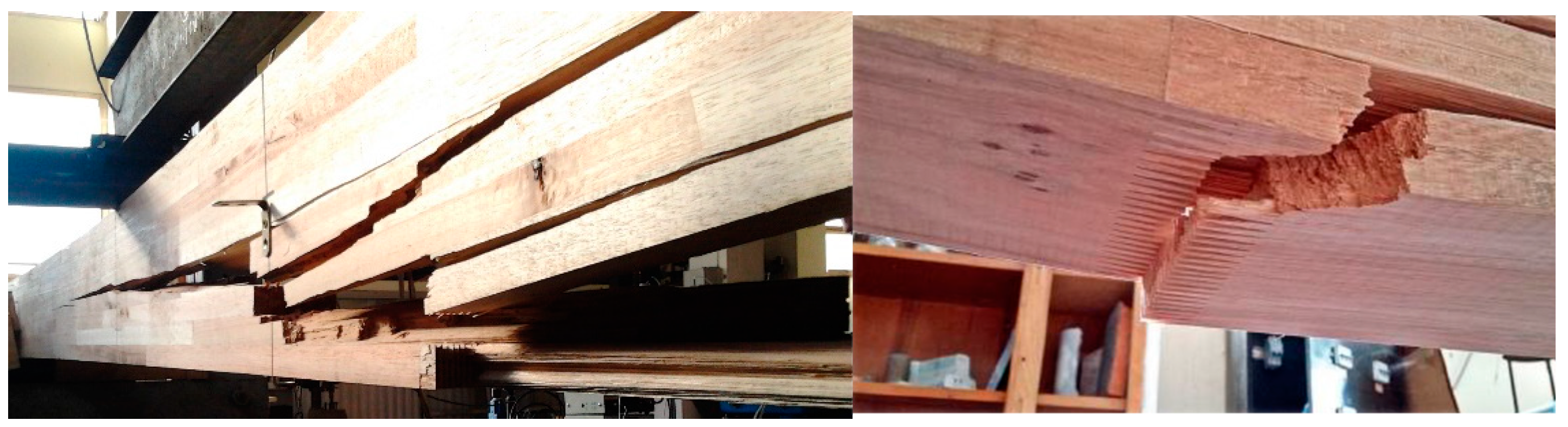 Forests 16 00008 g011