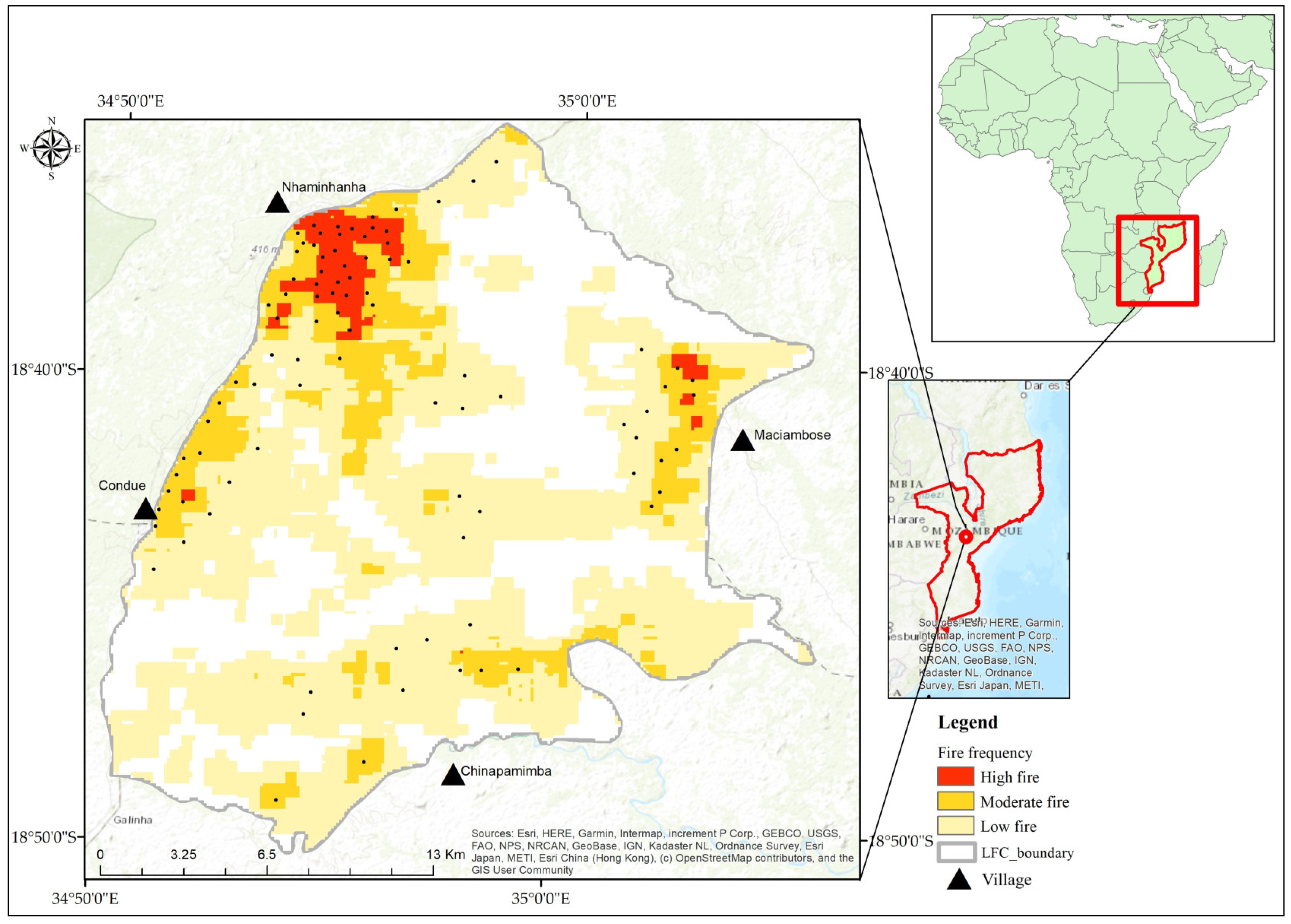 Forests 16 00010 g001