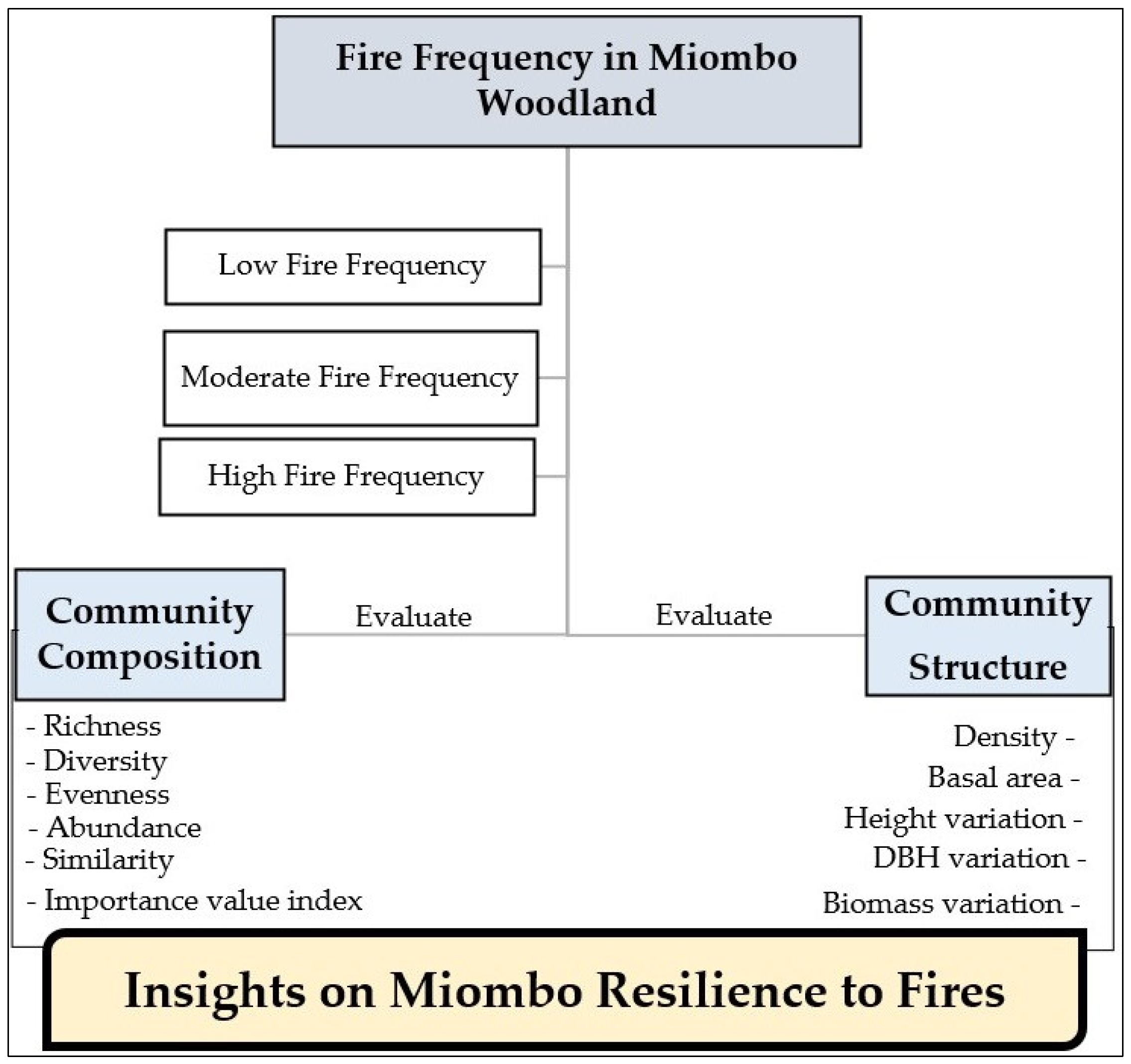 Forests 16 00010 g005