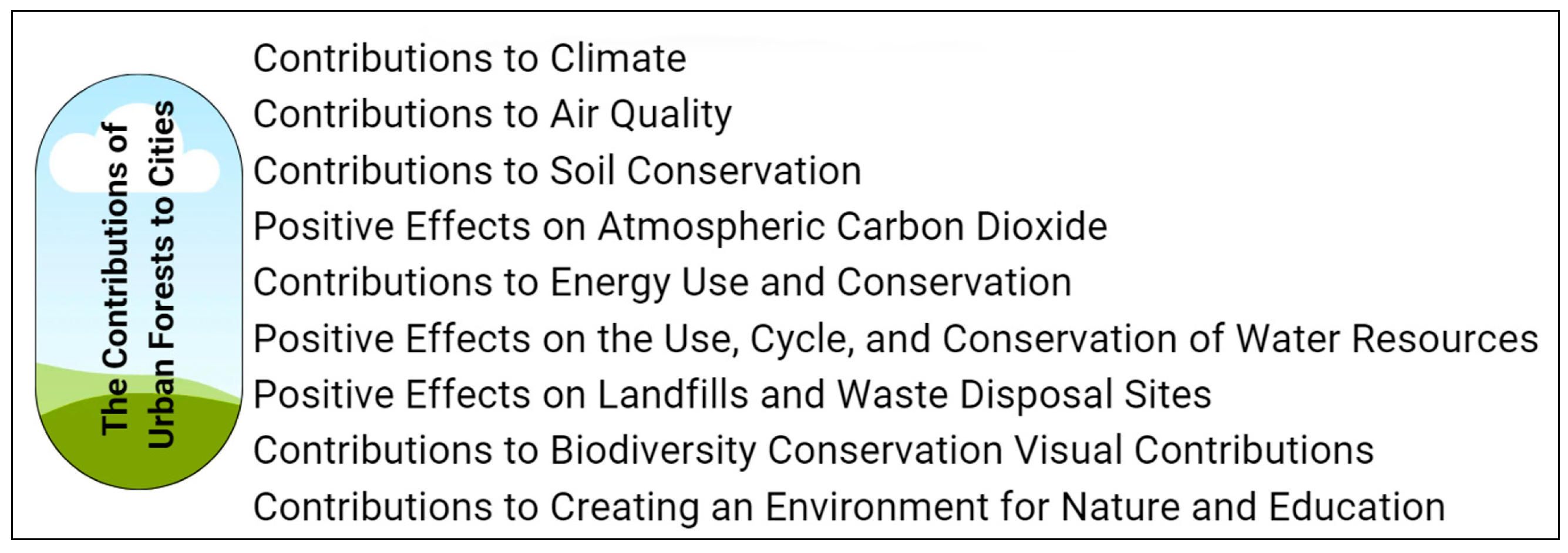 Forests 16 00012 g001