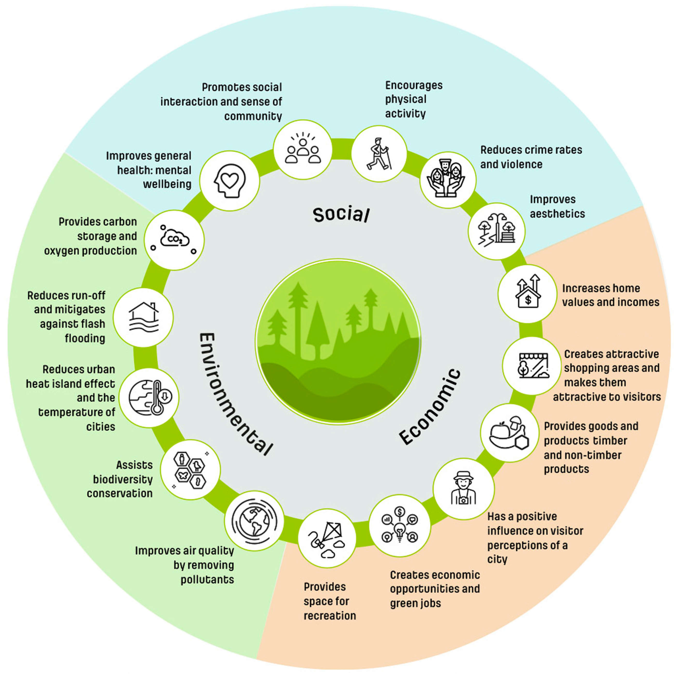 Forests 16 00012 g002