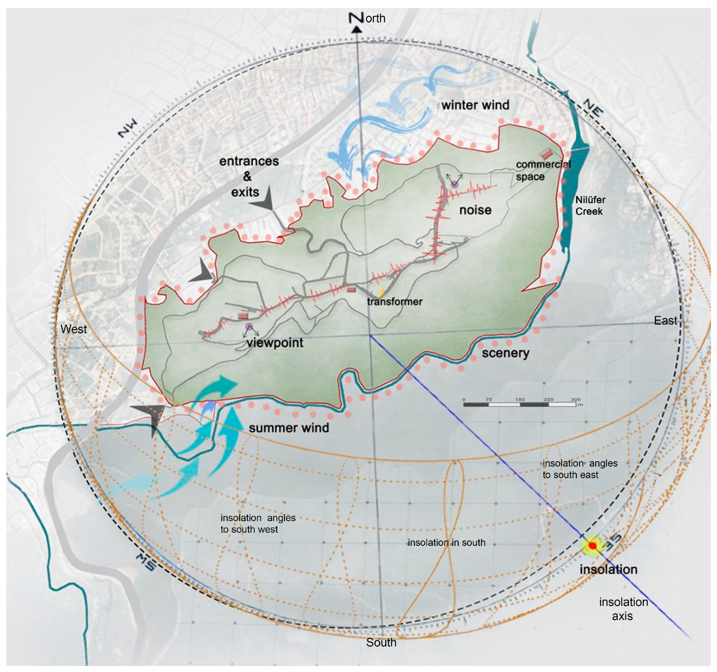 Forests 16 00012 g005