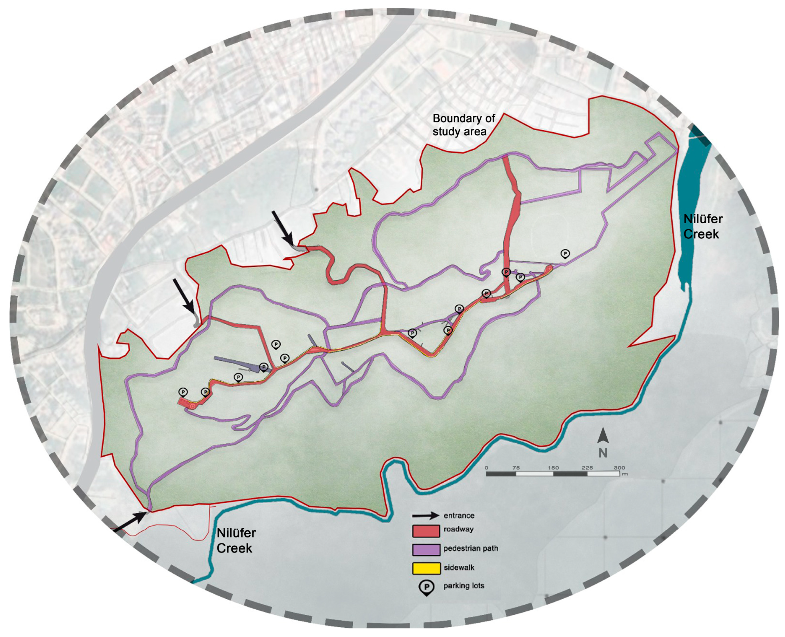 Forests 16 00012 g006