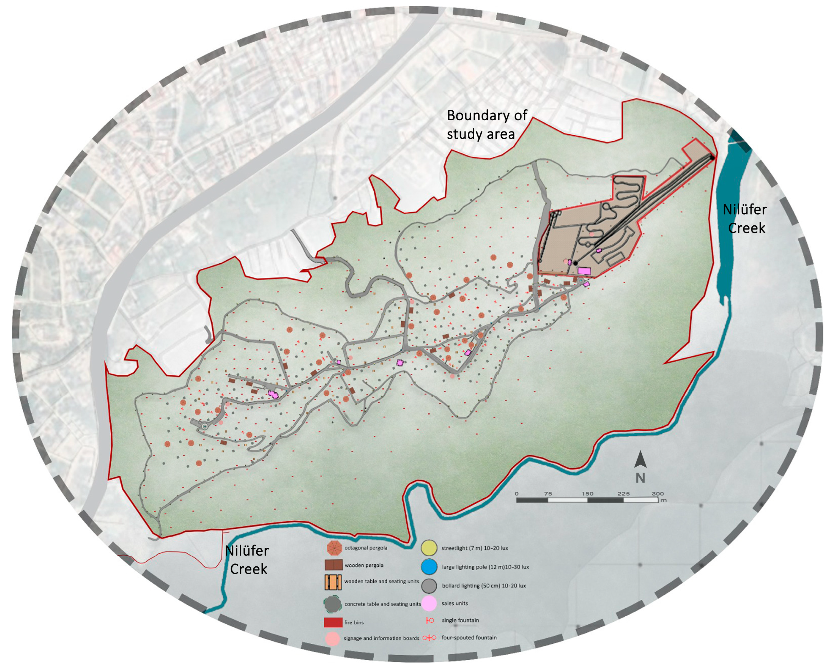 Forests 16 00012 g007