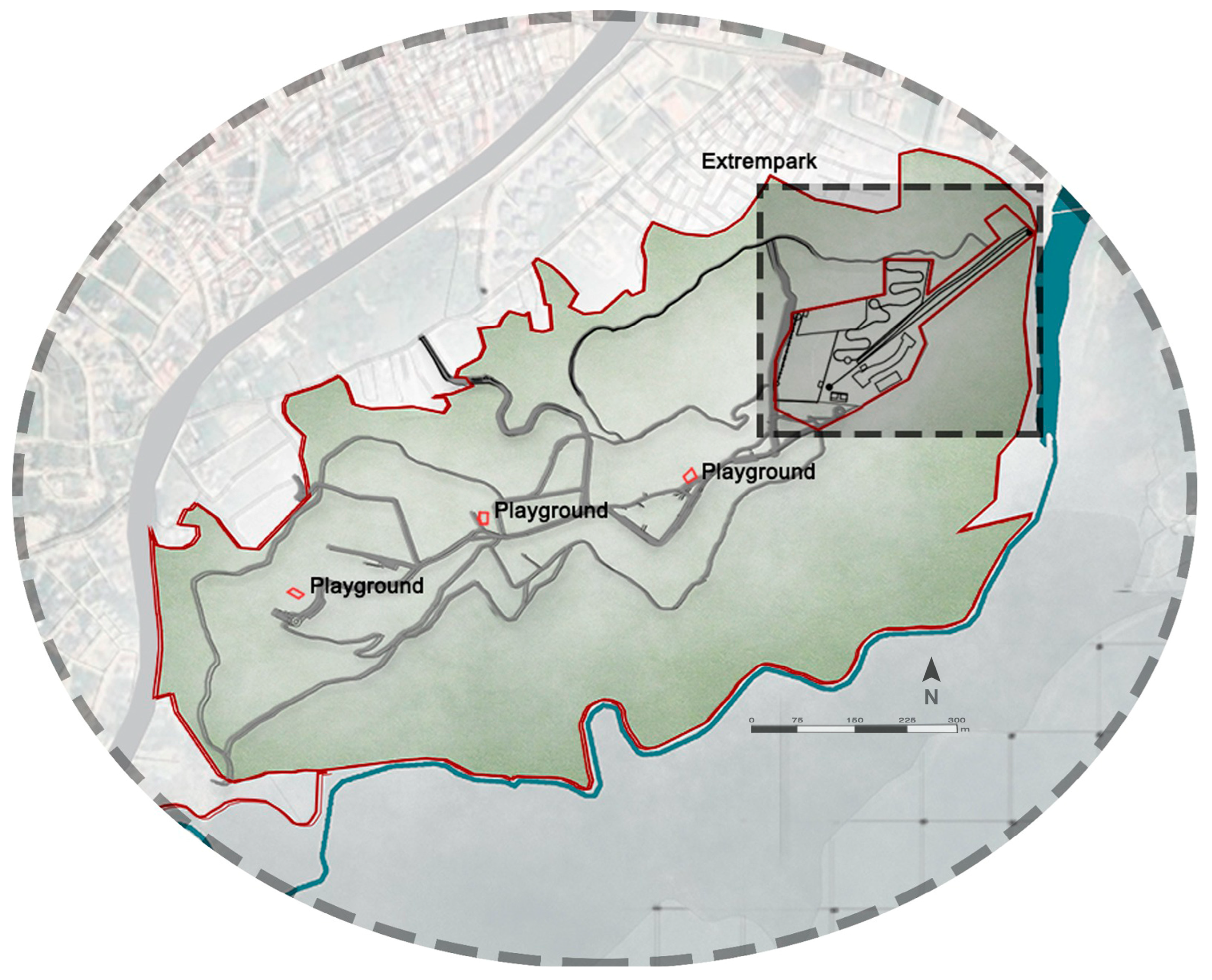 Forests 16 00012 g008