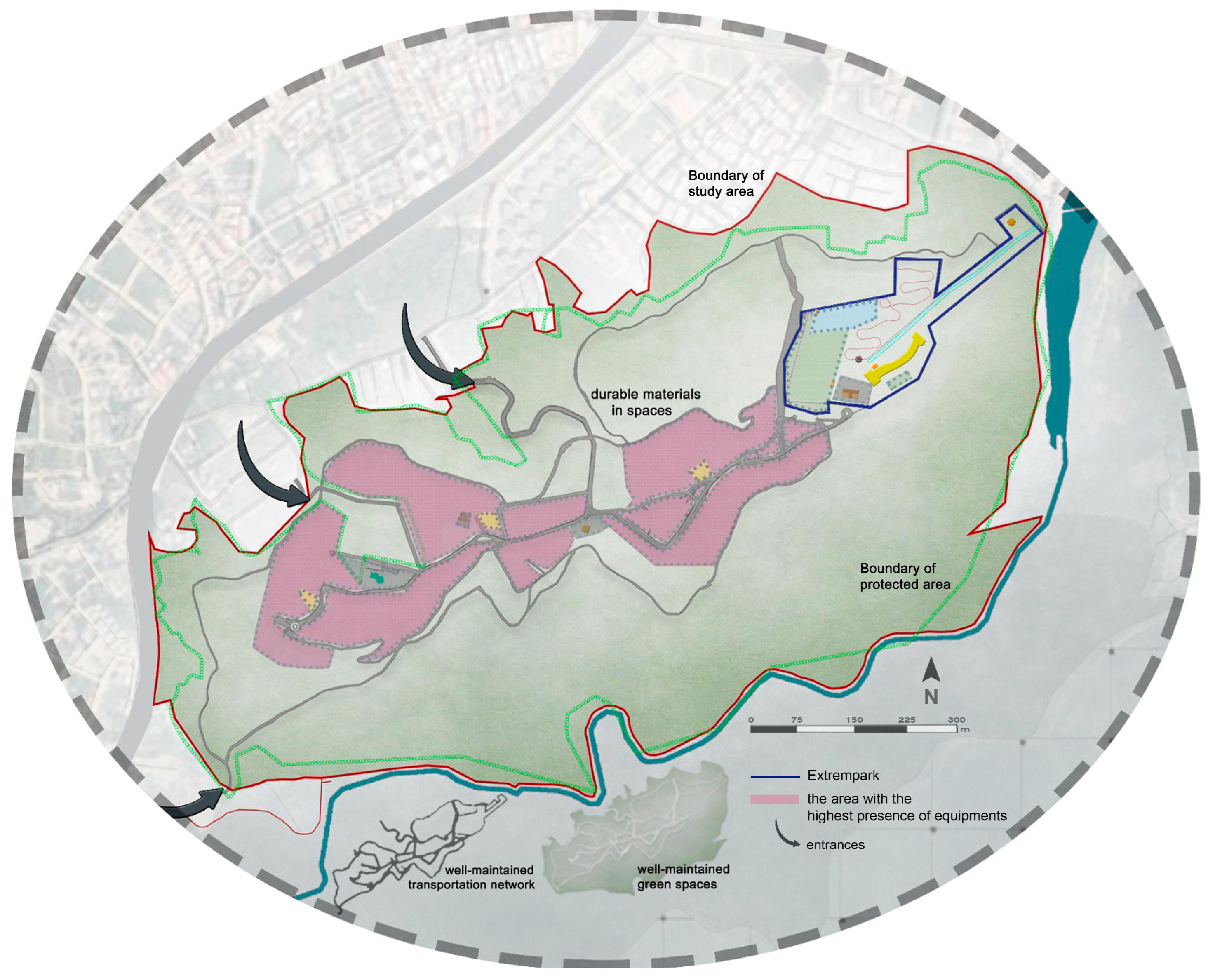 Forests 16 00012 g009