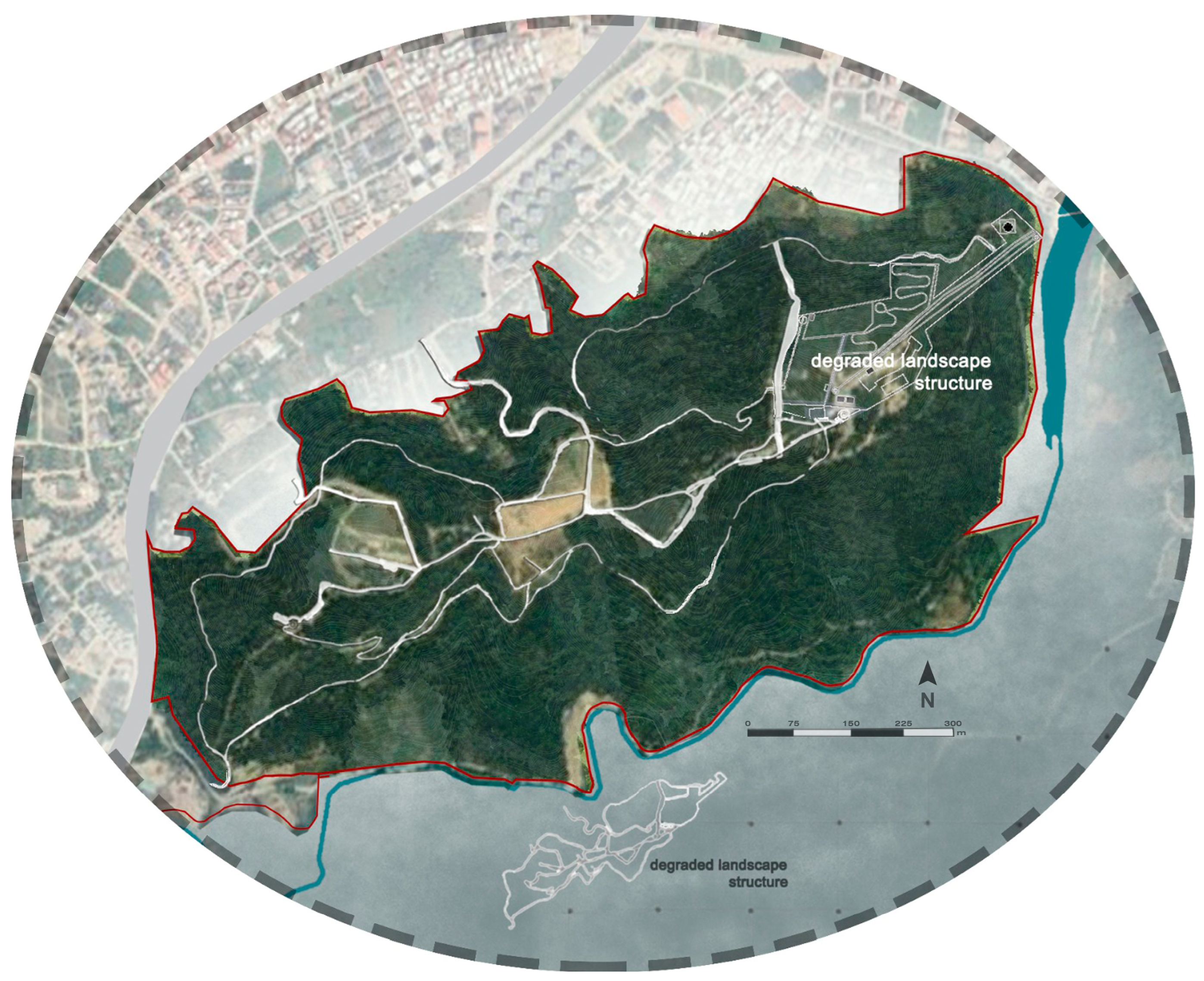 Forests 16 00012 g010