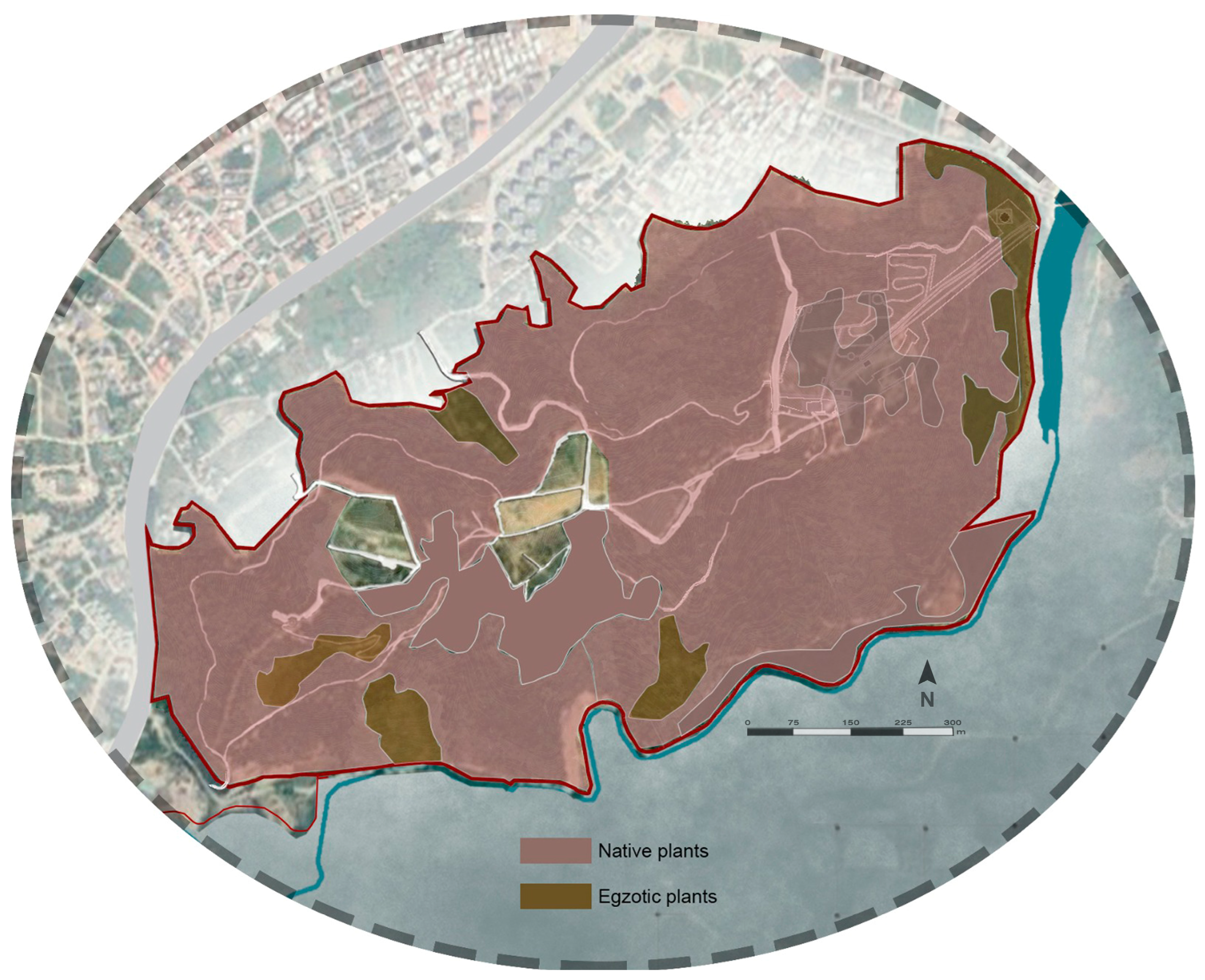 Forests 16 00012 g011