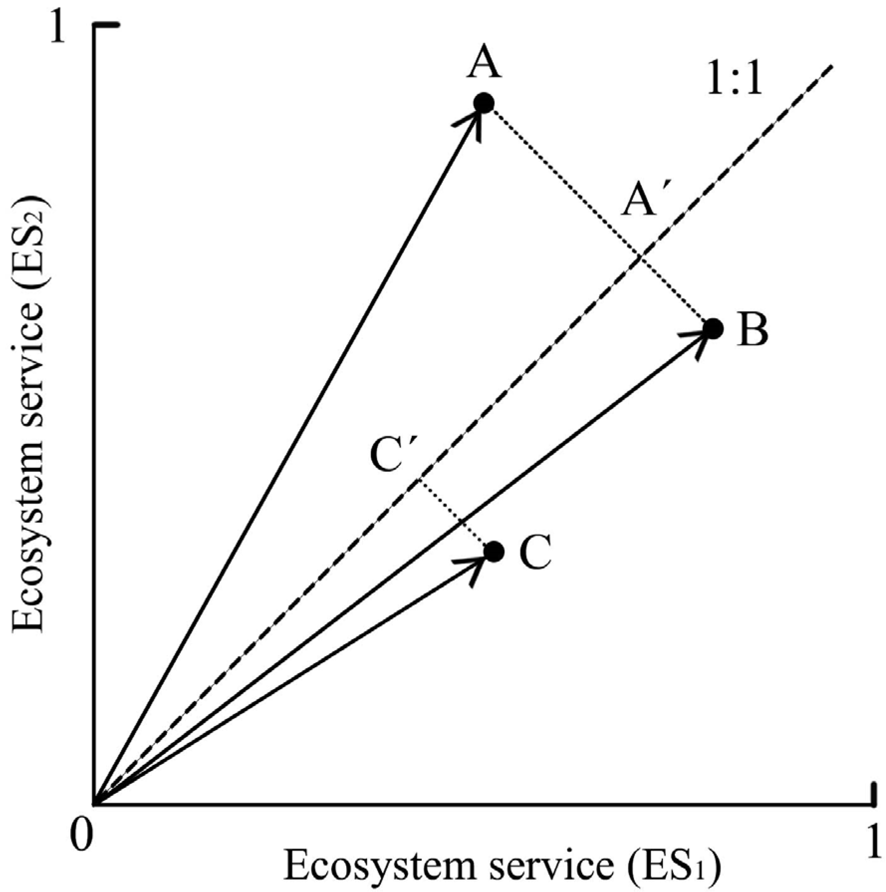 Forests 16 00017 g004