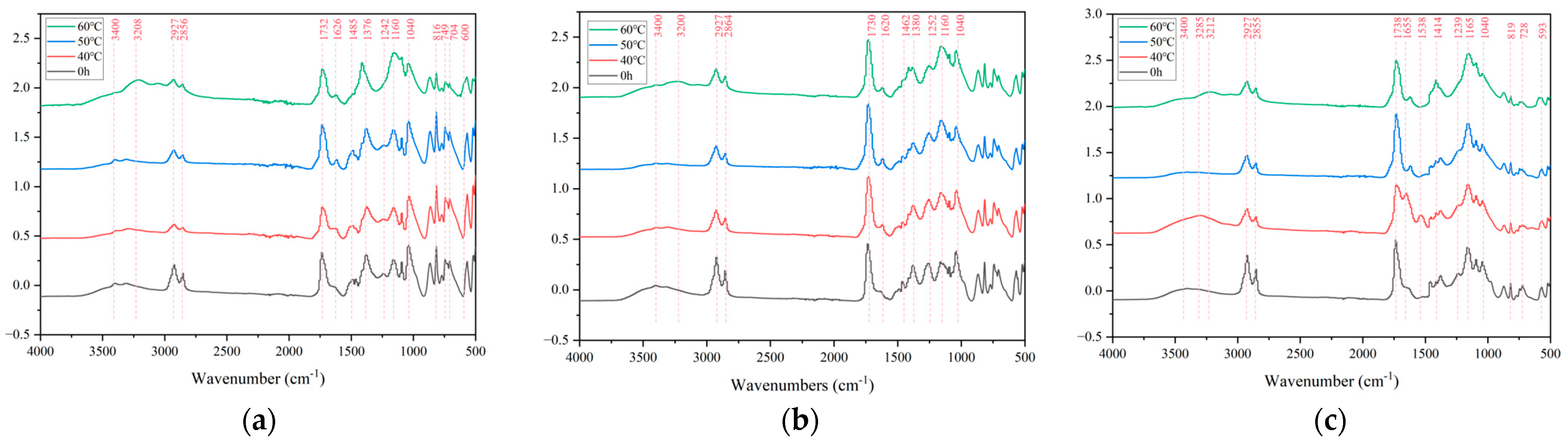 Forests 16 00022 g002