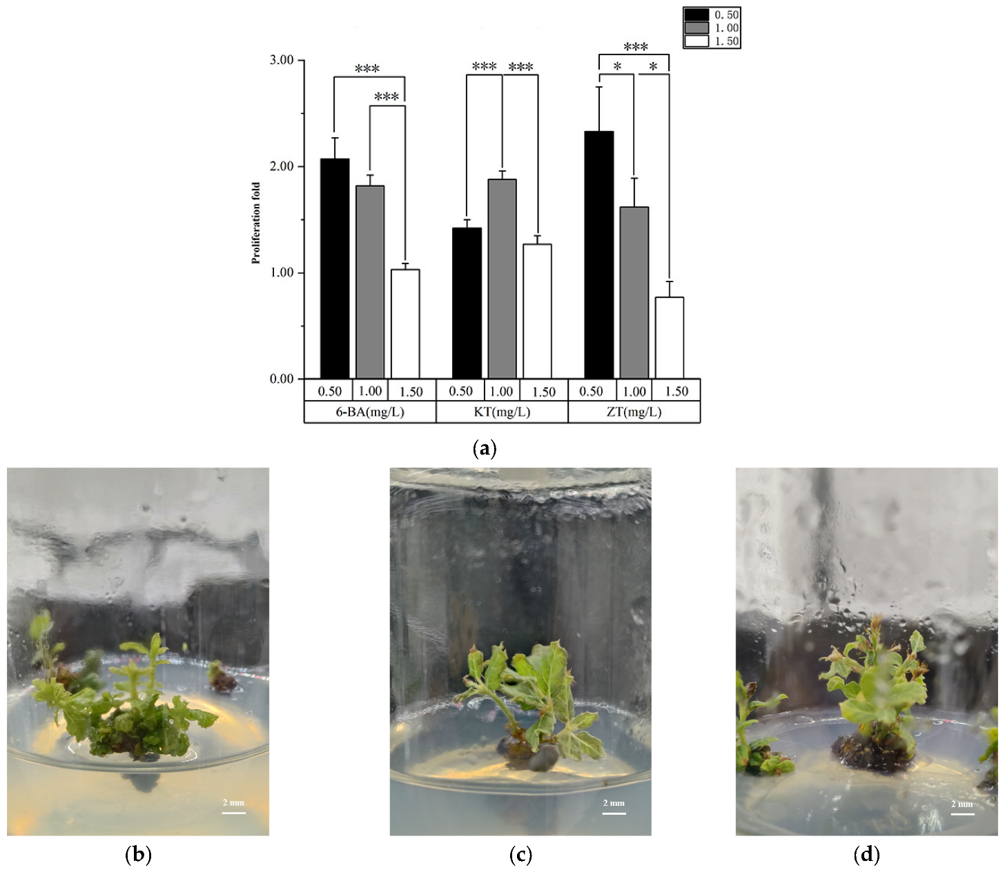 Forests 16 00023 g004 Forests 16 00023 g004