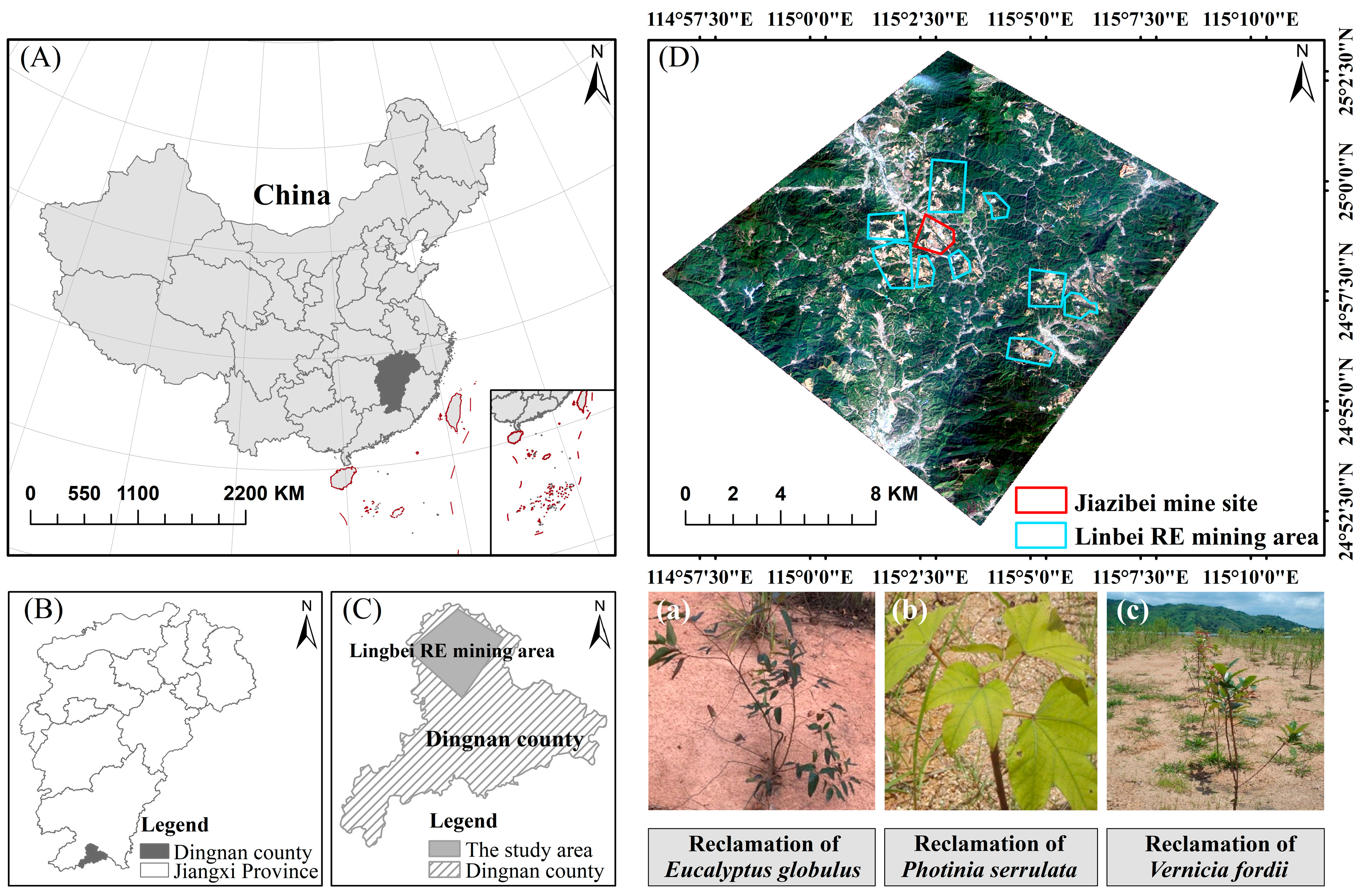 Forests 16 00026 g001