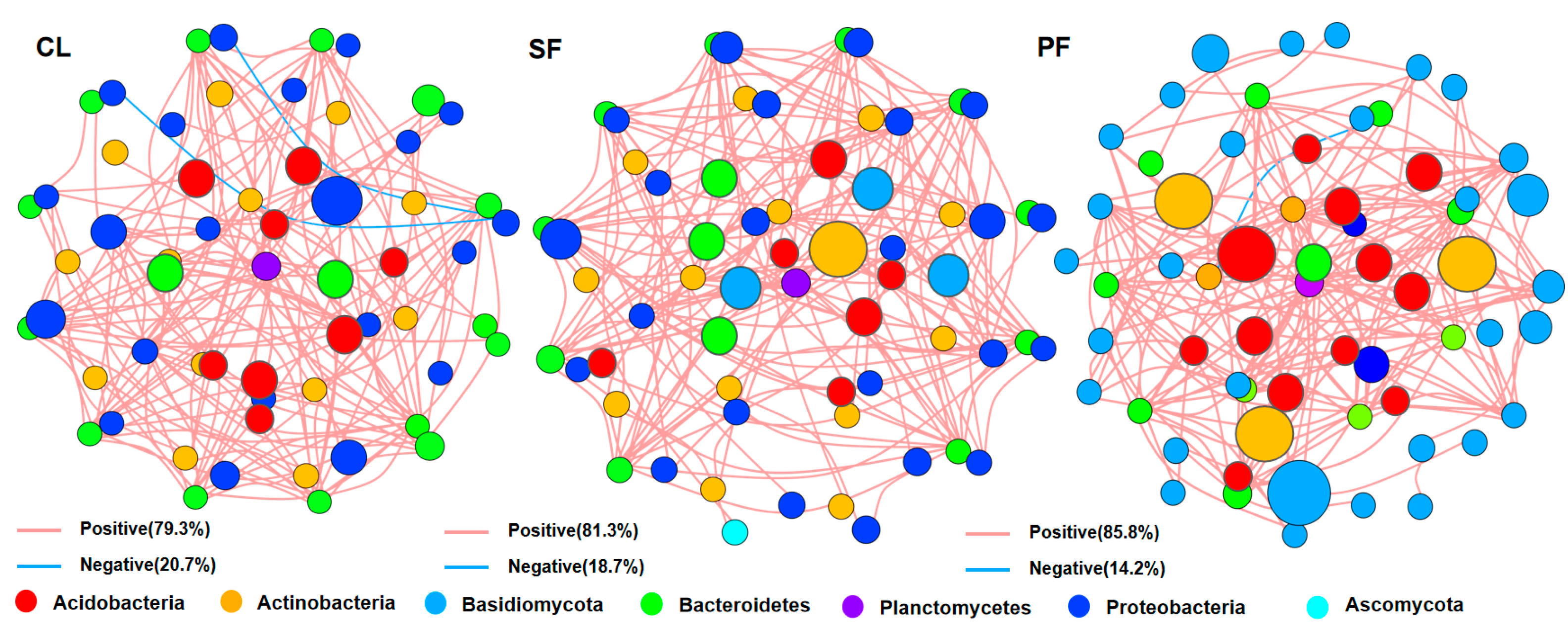 Forests 16 00027 g003