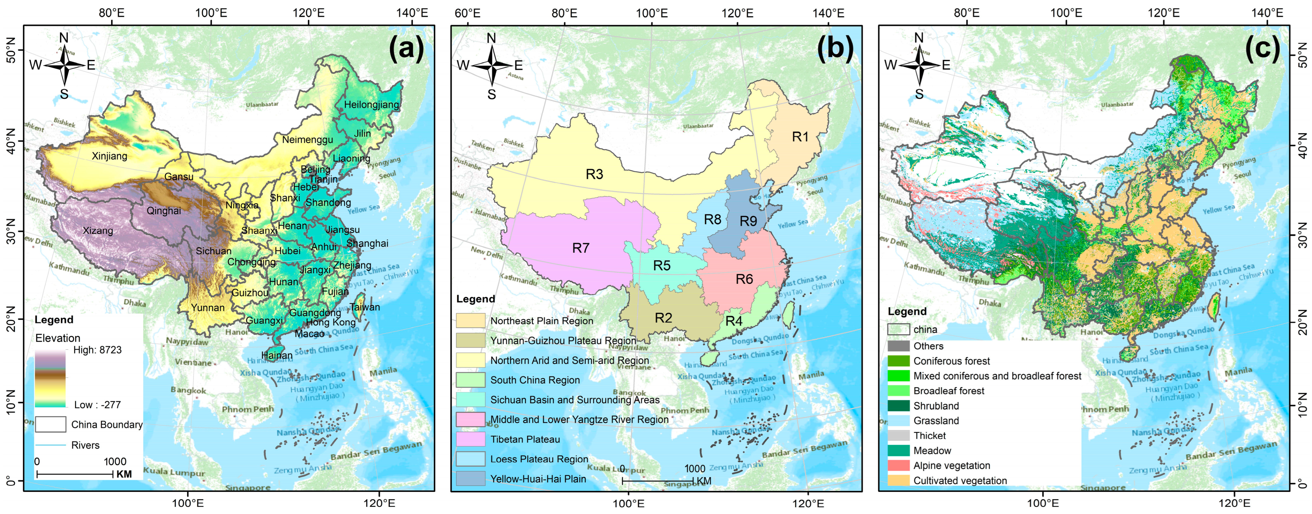 Forests 16 00038 g001