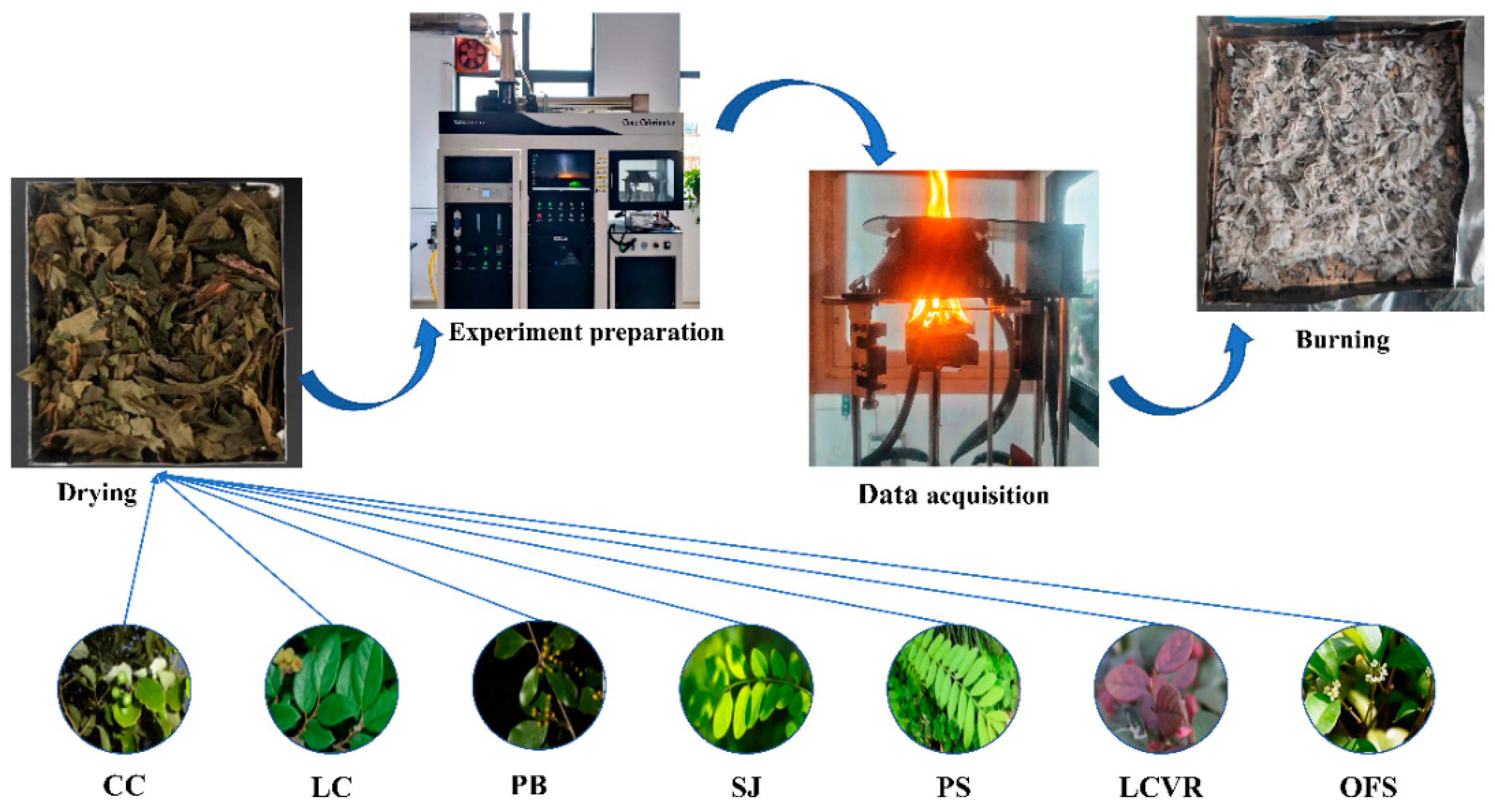 Forests 16 00044 g003