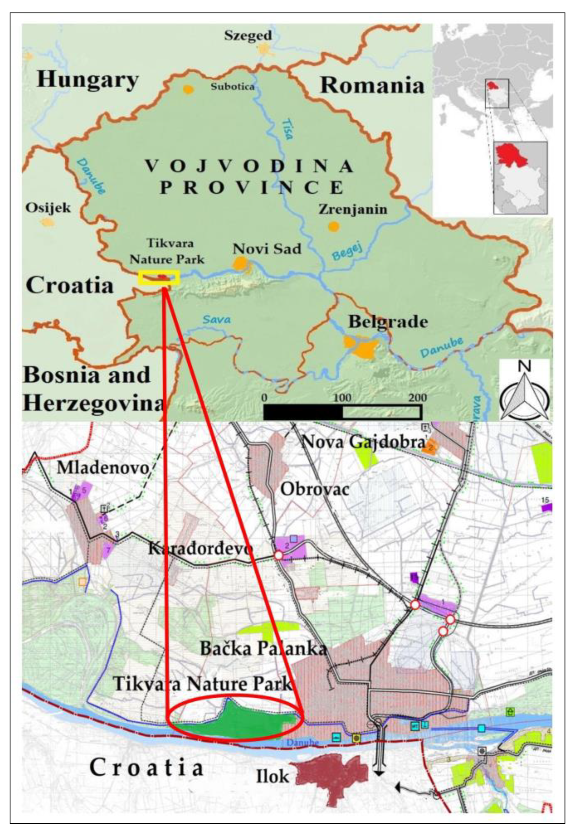 Forests 16 00049 g001