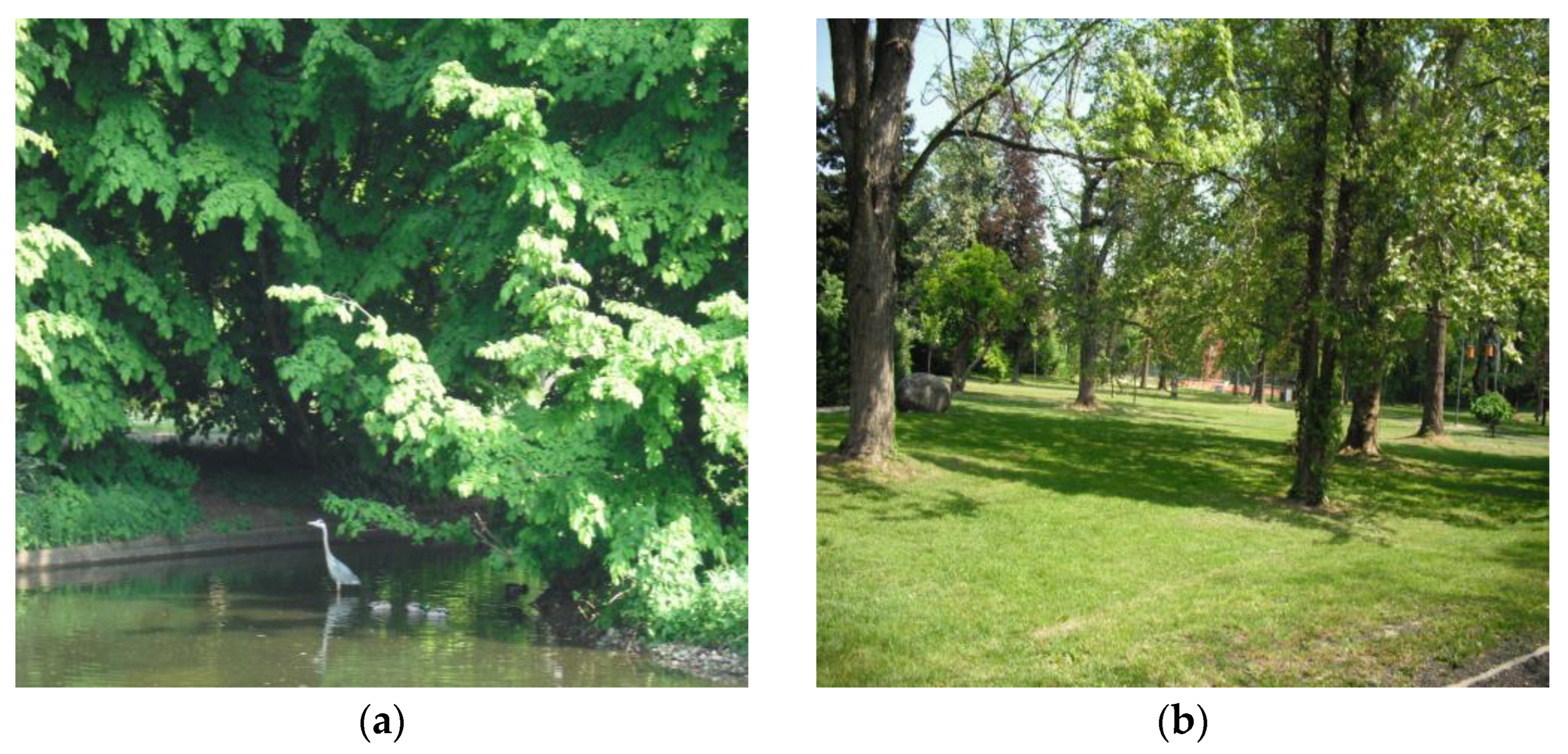 Forests 16 00049 g002