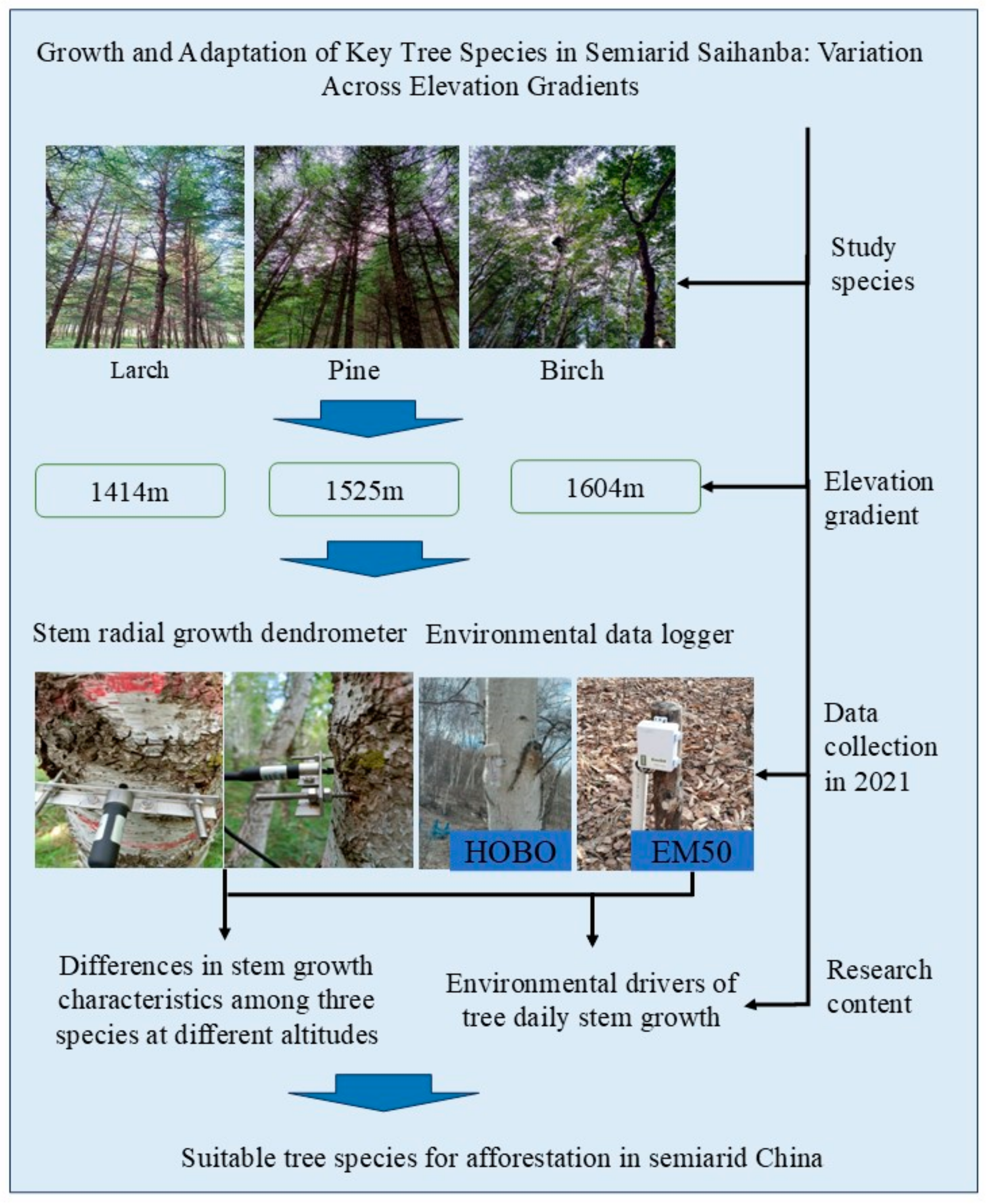 Forests 16 00050 g001