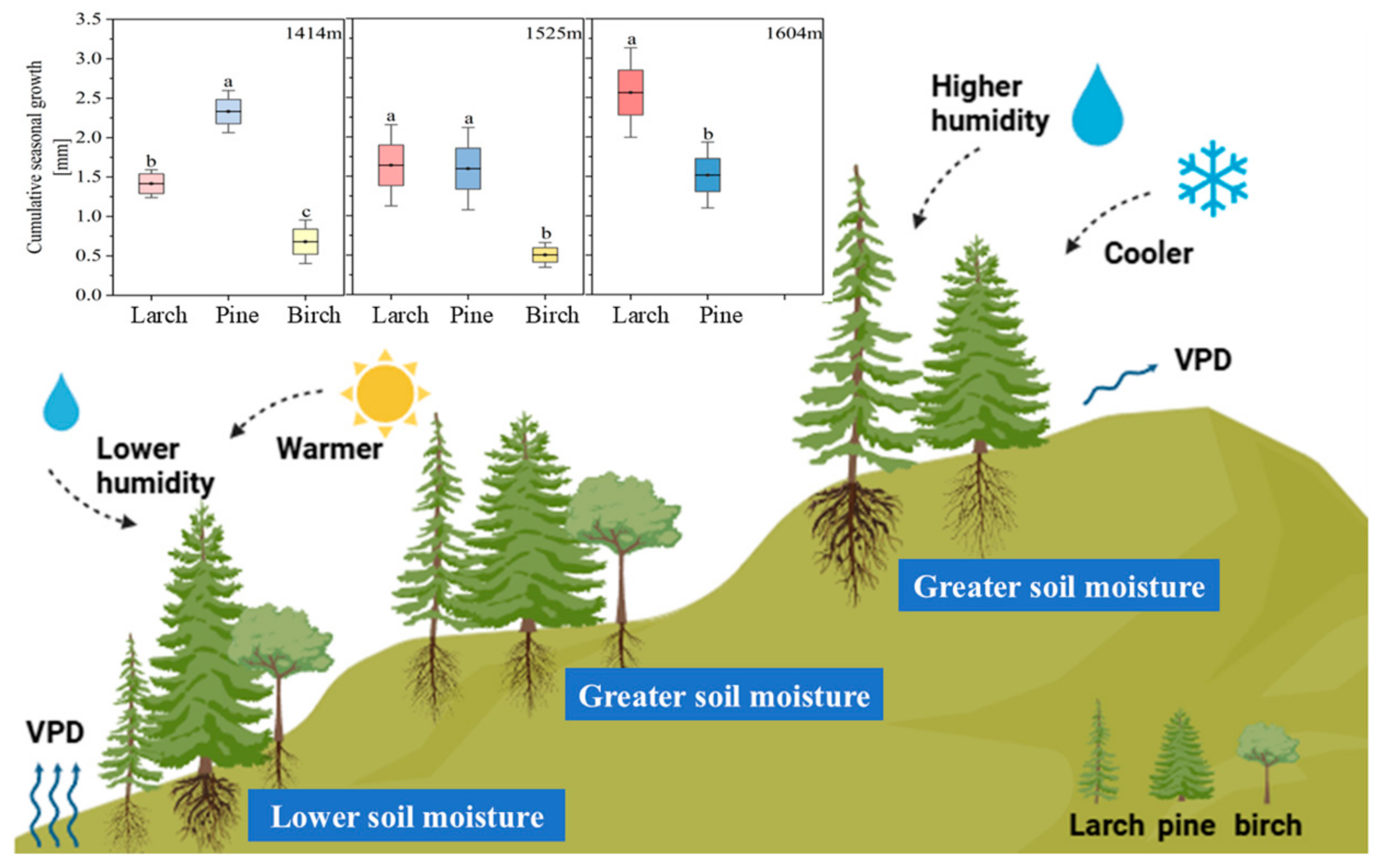 Forests 16 00050 g008
