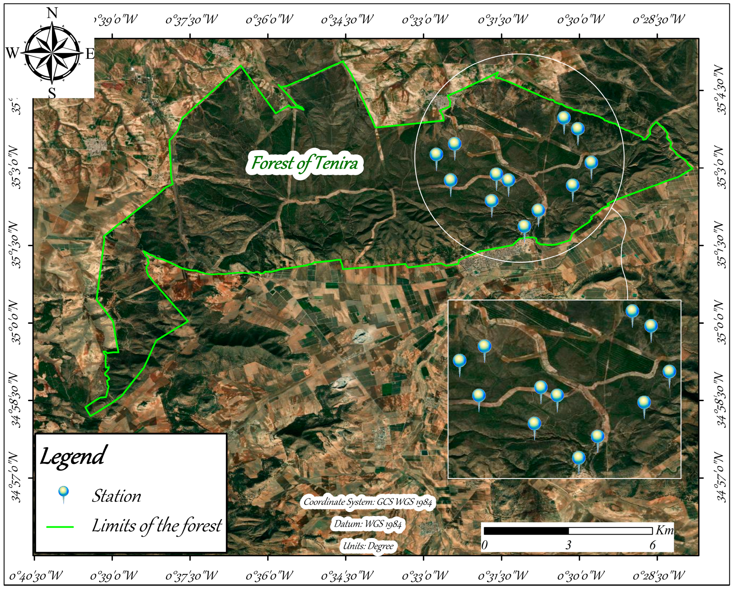 Forests 16 00053 g004