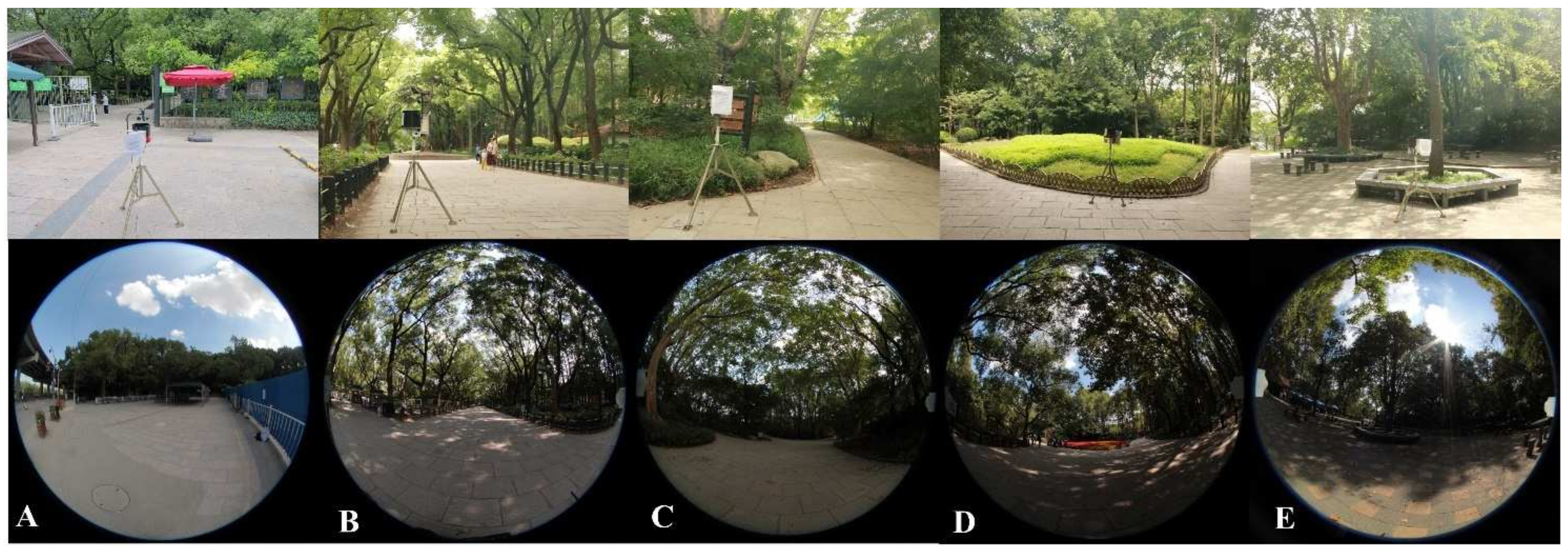 Forests 16 00055 g002