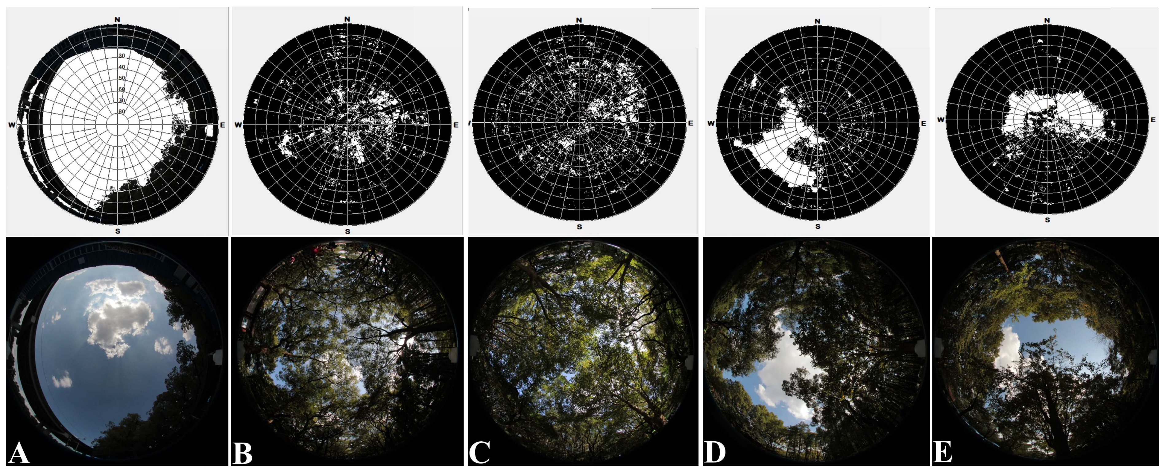 Forests 16 00055 g003