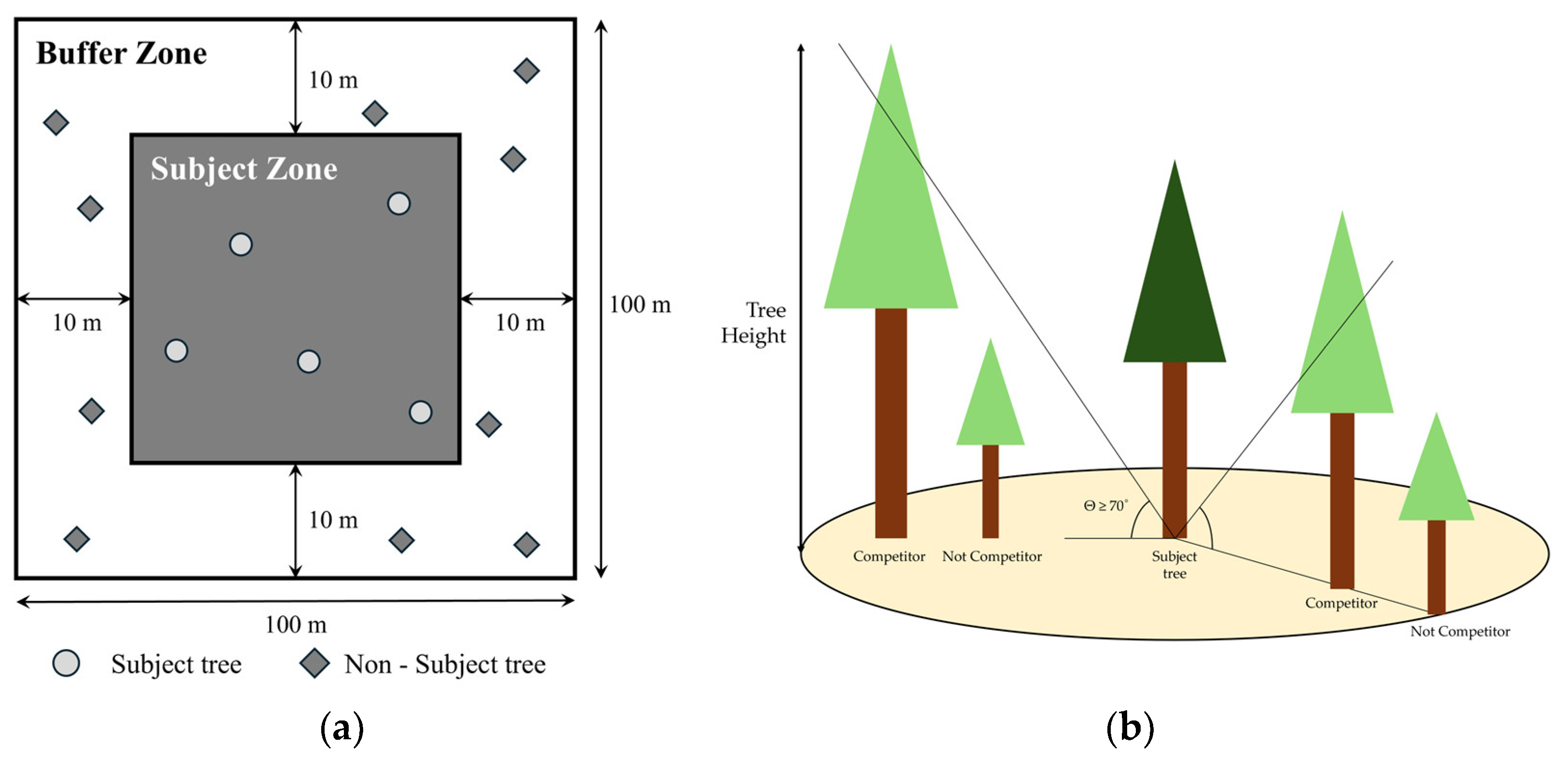 Forests 16 00065 g003