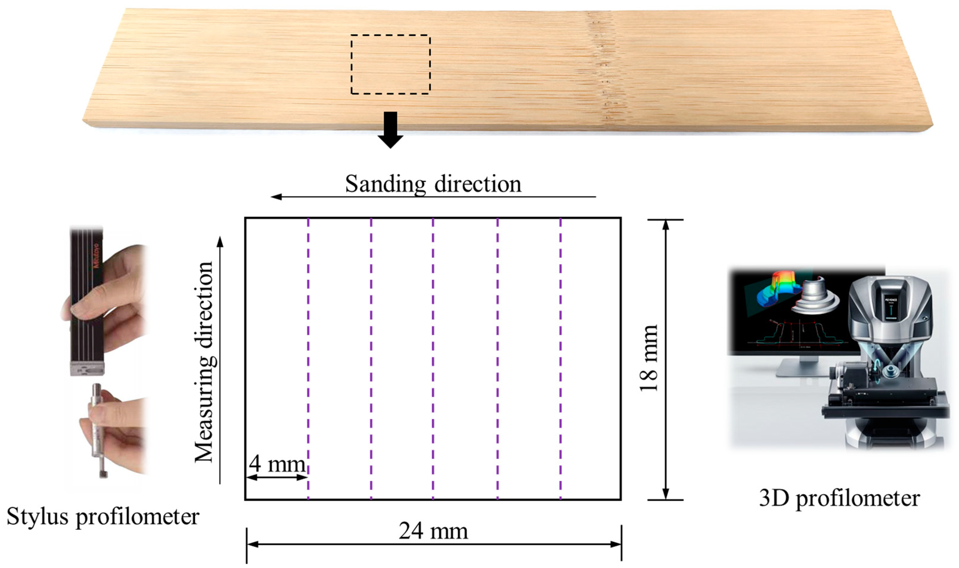 Forests 16 00066 g002